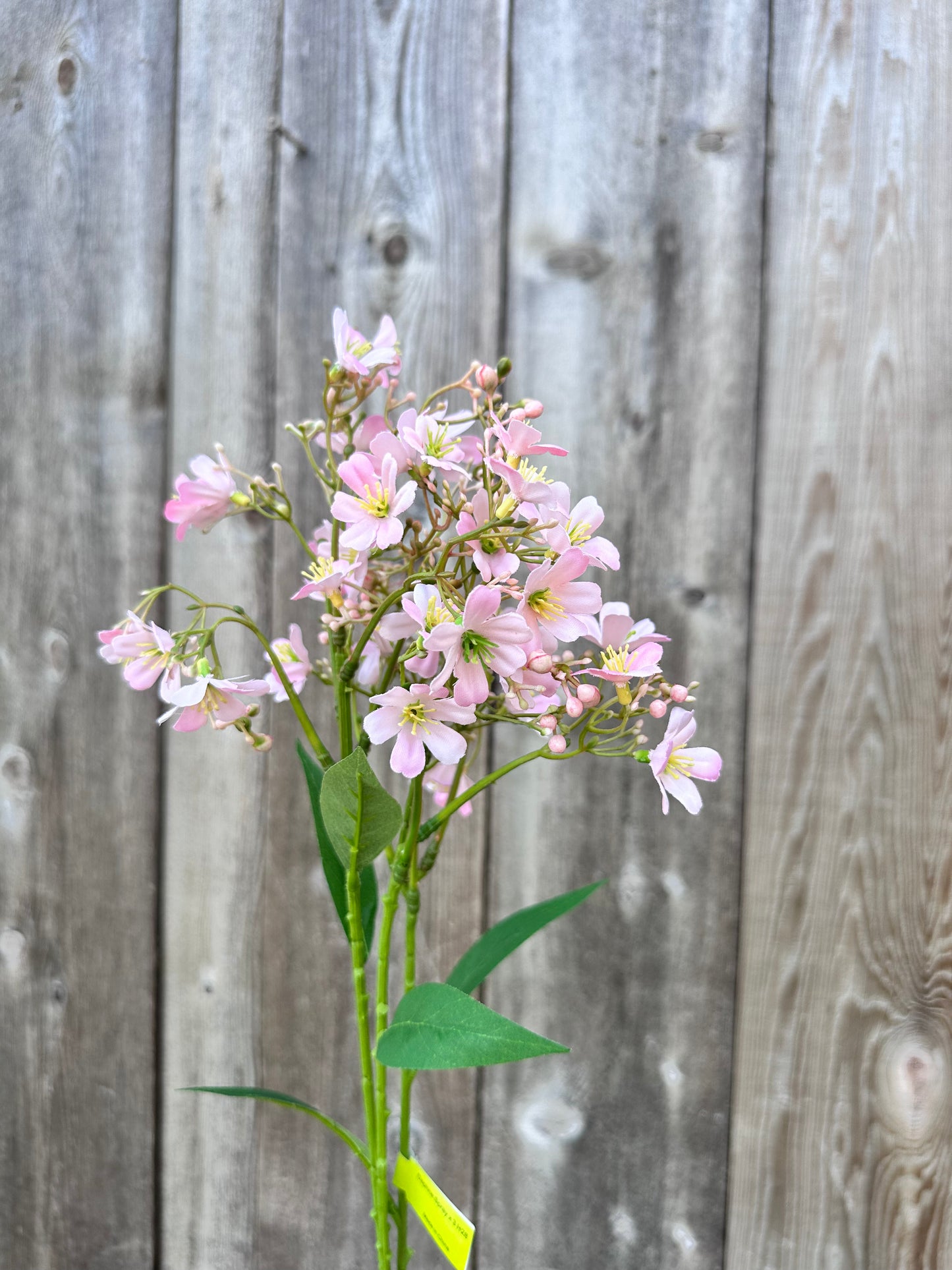 Daphne Spray x 3 29477PK