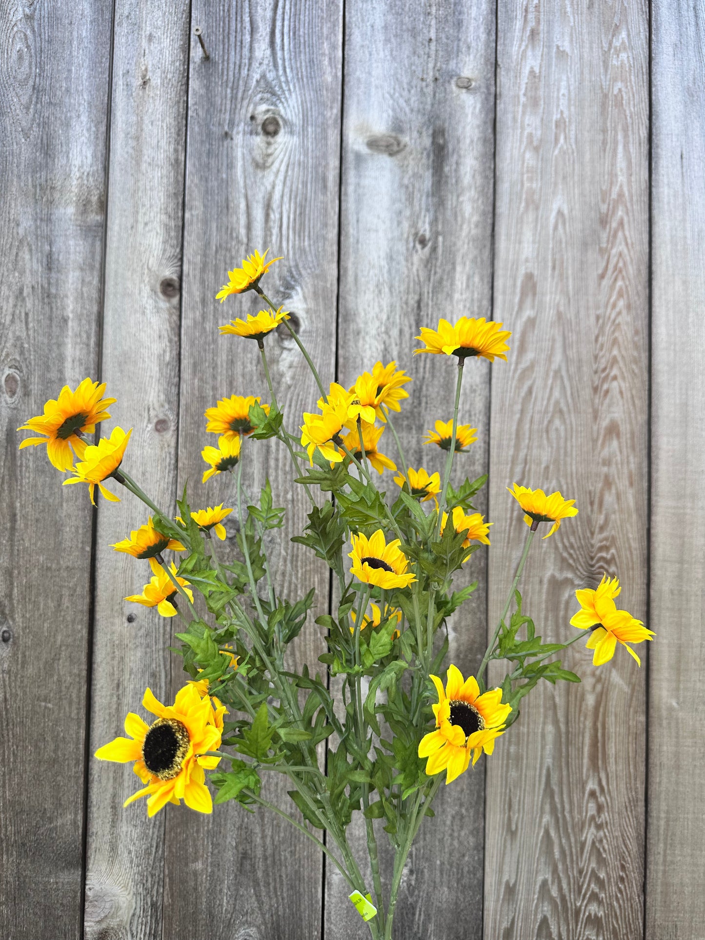 Sunflower Bush 30624YW