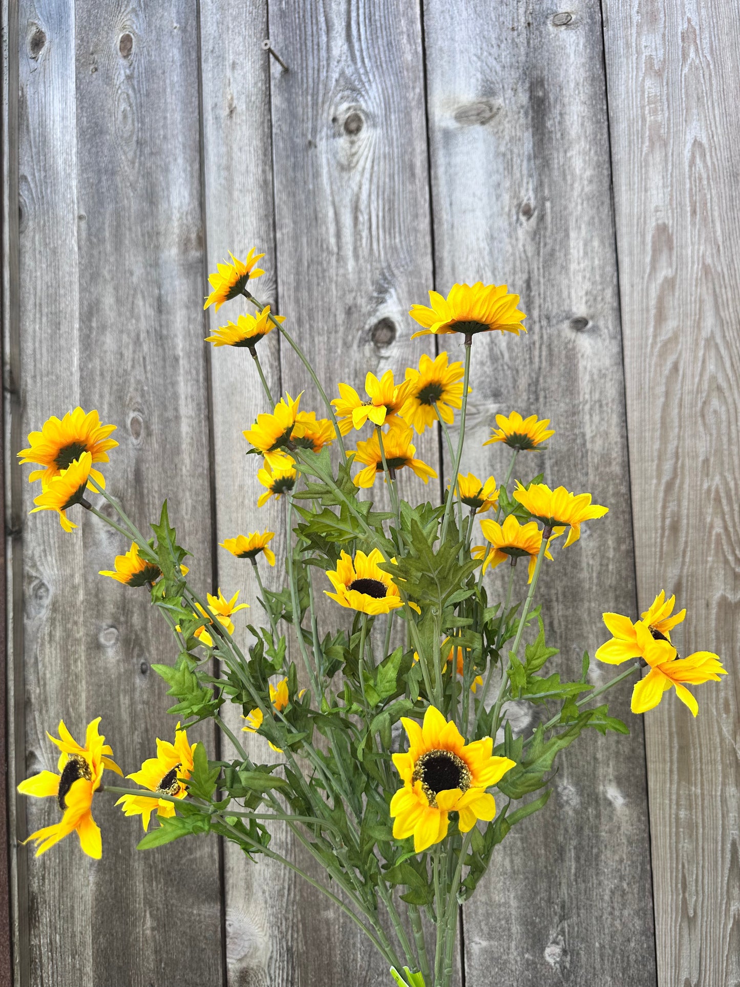 Sunflower Bush 30624YW