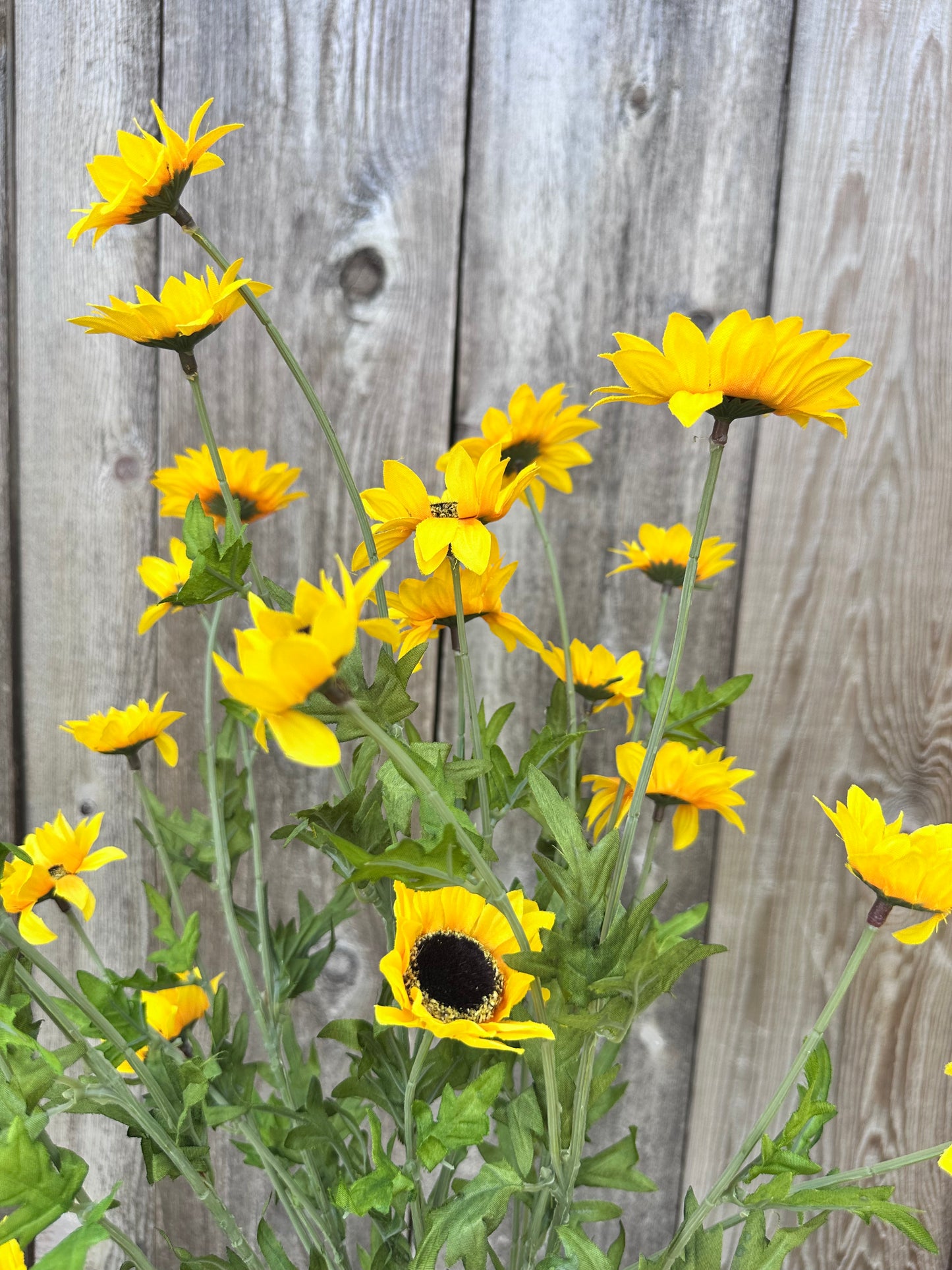 Sunflower Bush 30624YW