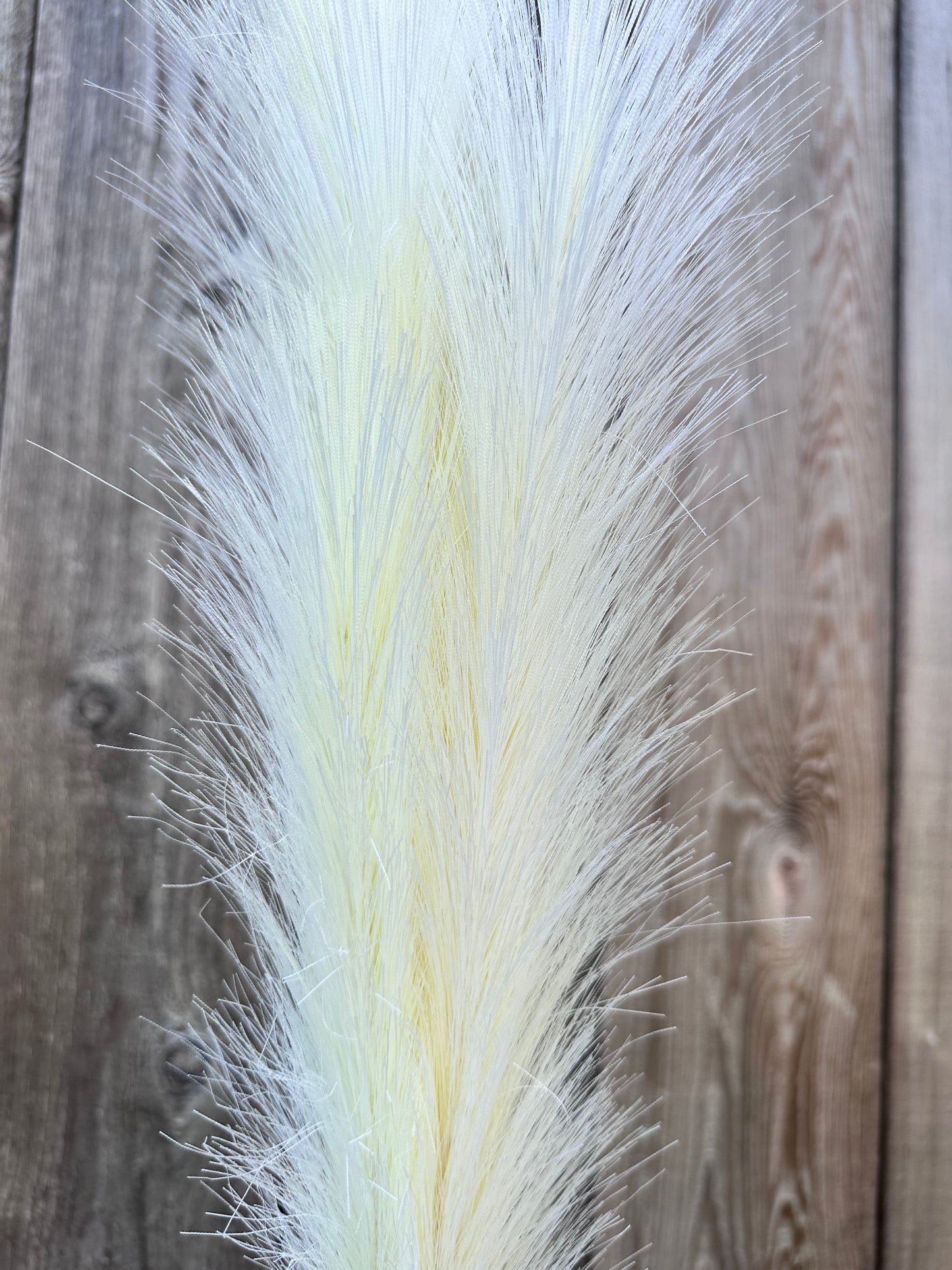 PAMPAS GRASS SPRAY 84851-CR