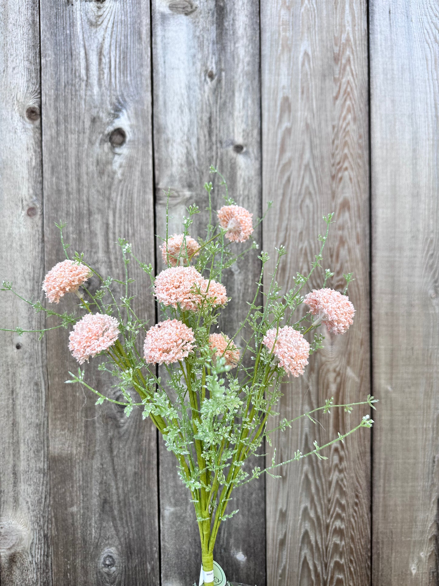 PL.WILD ALLIUM BUSH MTF21915-CORL
