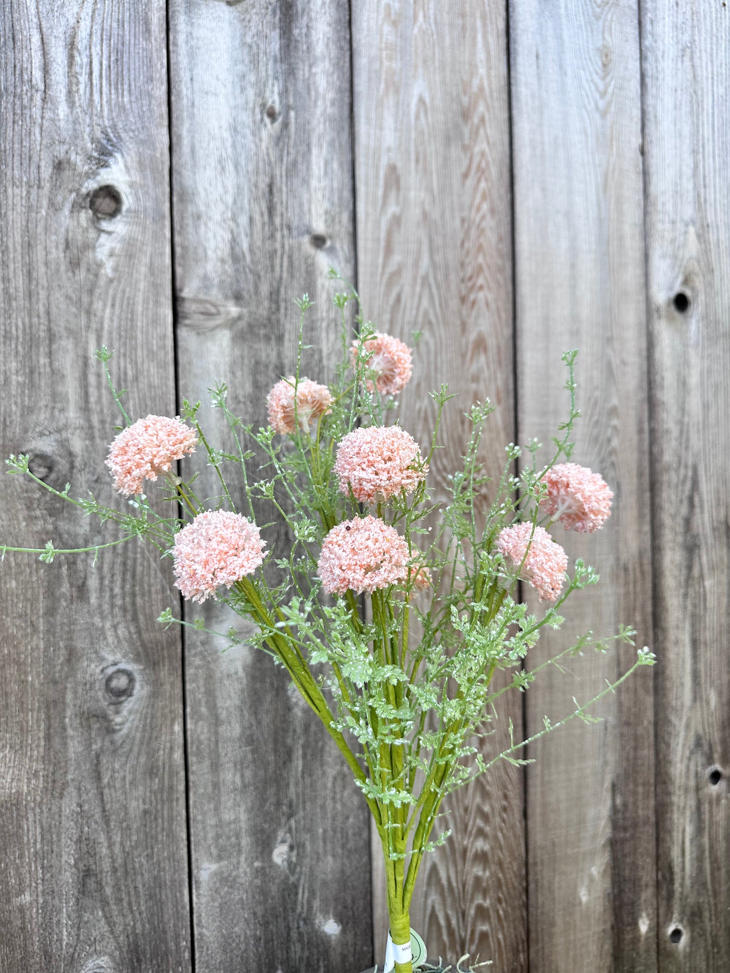 PL.WILD ALLIUM BUSH MTF21915-CORL