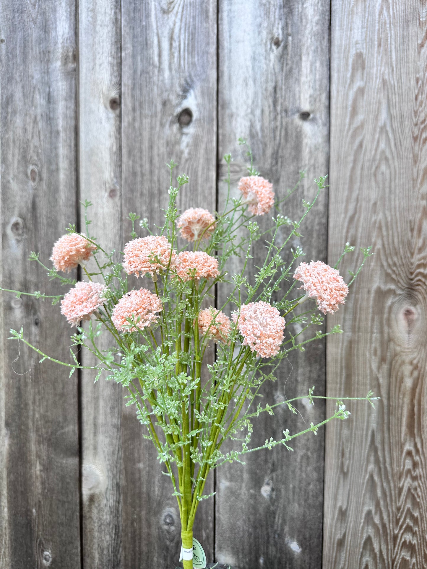 PL.WILD ALLIUM BUSH MTF21915-CORL