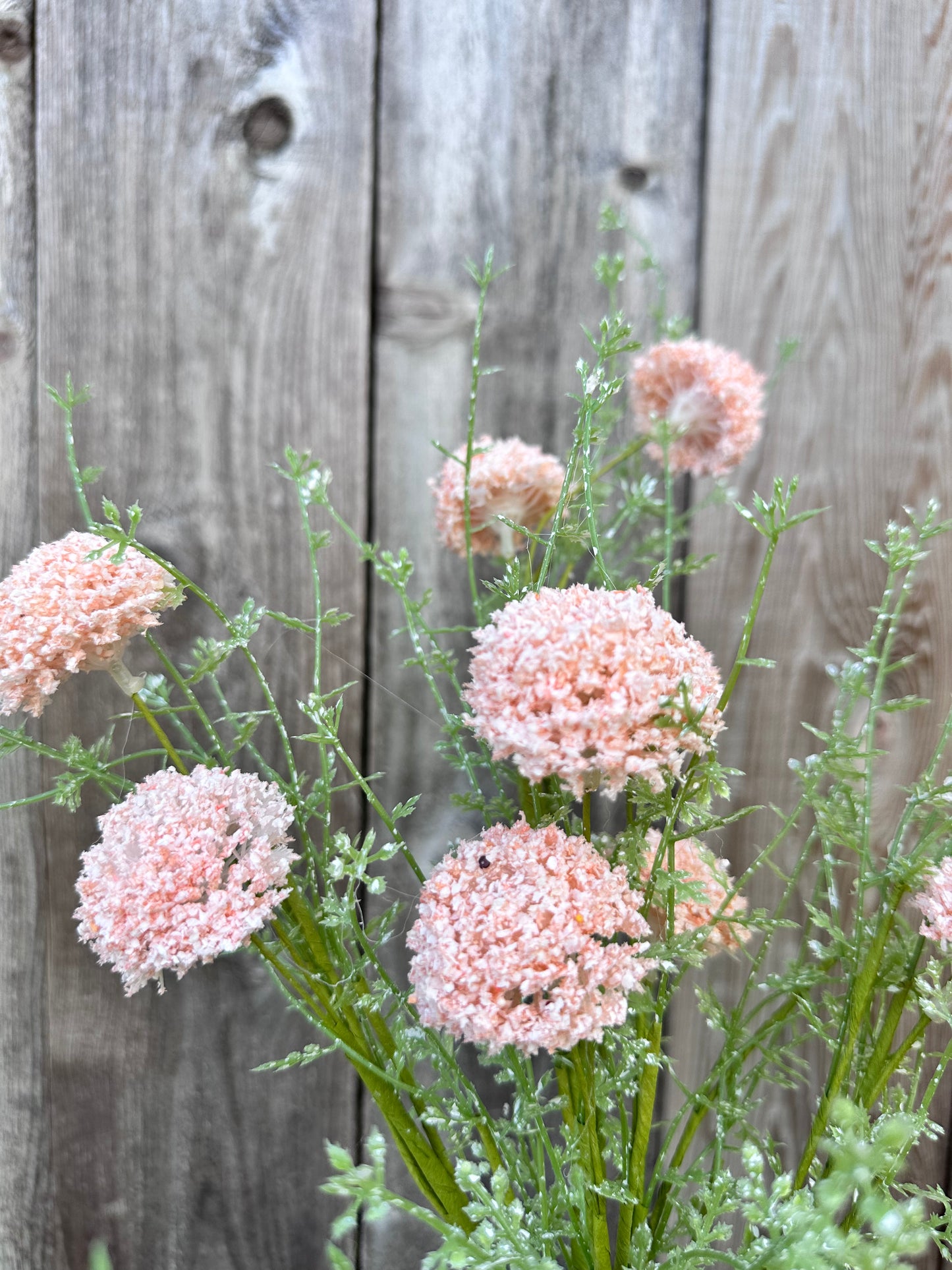 PL.WILD ALLIUM BUSH MTF21915-CORL