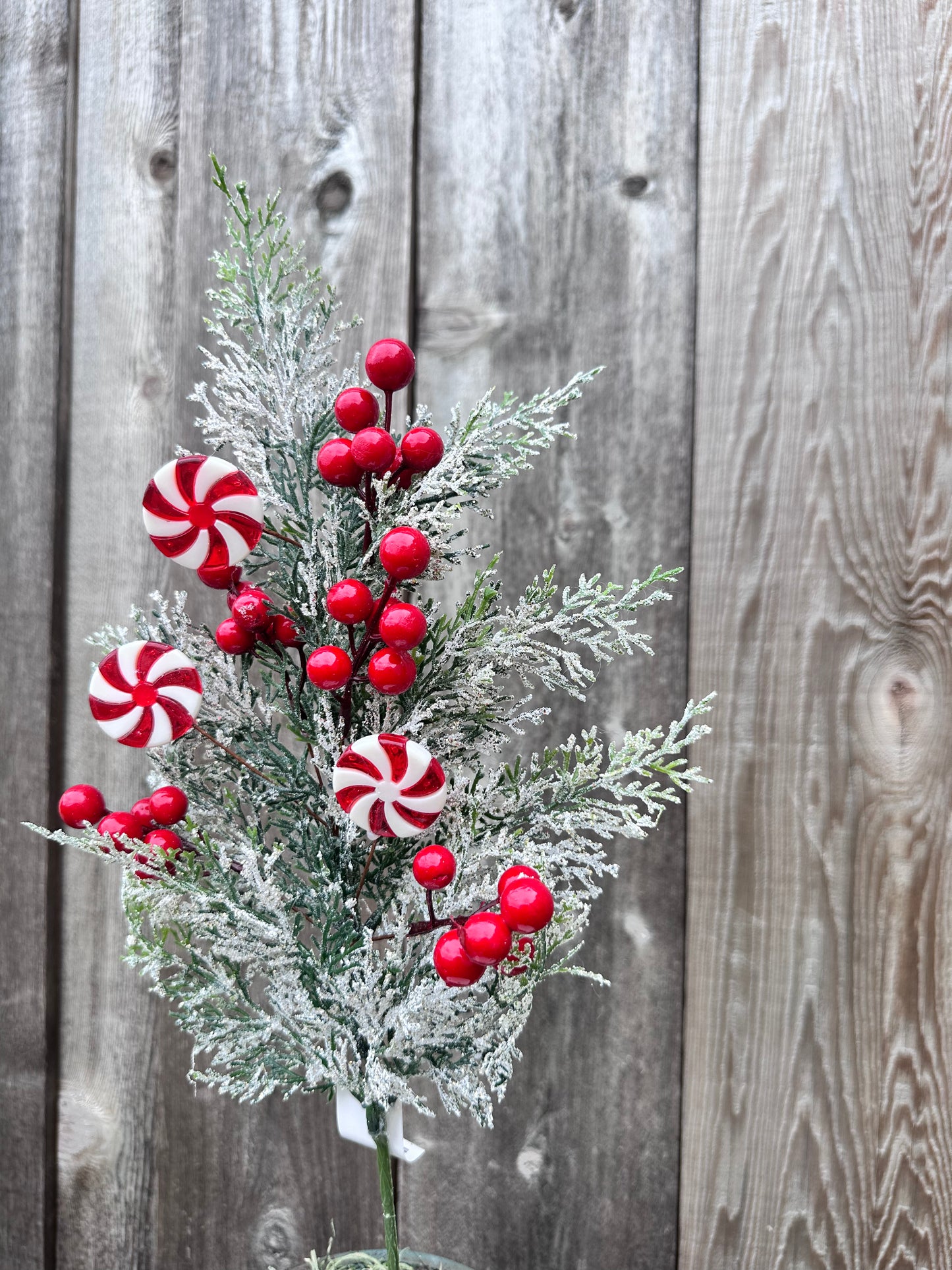 CEDAR W/ SNOW PINE SPRAY W/ RED BERRIES & PEPPERMINT CANDY CS5015