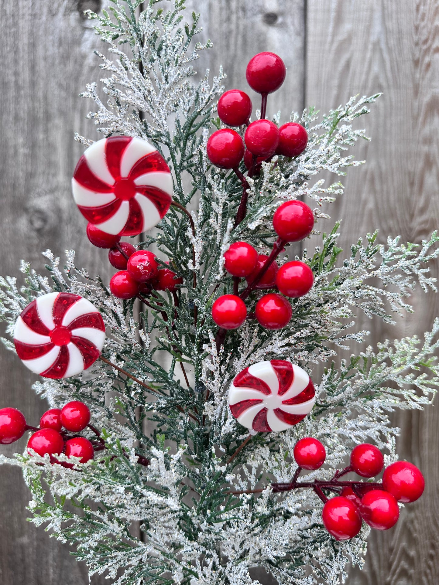 CEDAR W/ SNOW PINE SPRAY W/ RED BERRIES & PEPPERMINT CANDY CS5015