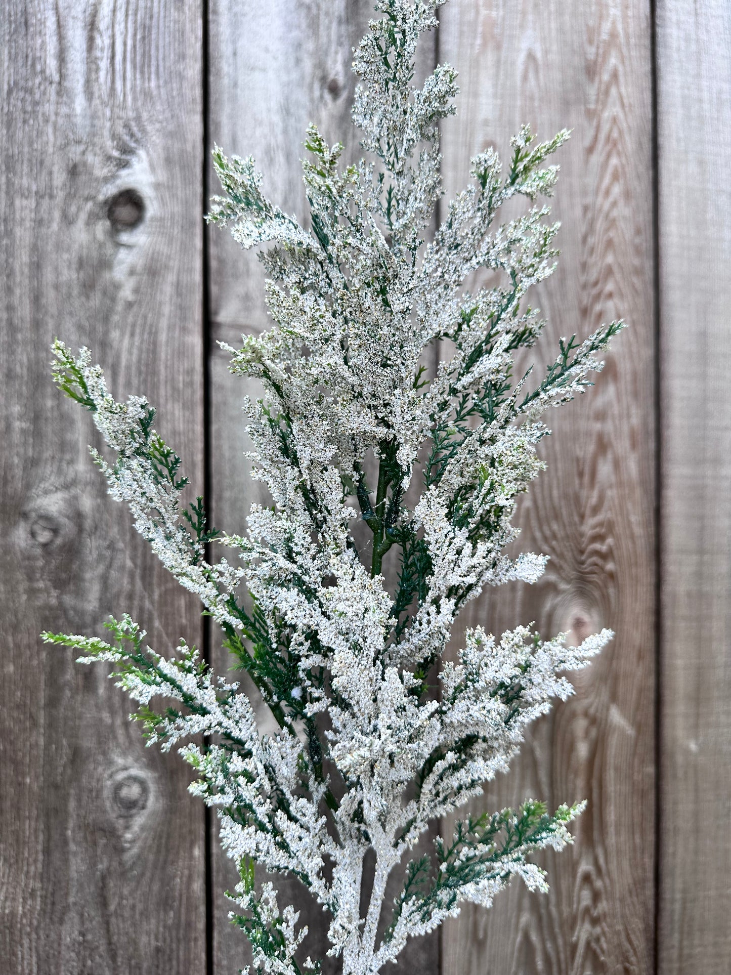 SNOW CEDAR PINE SPRAY CS5016