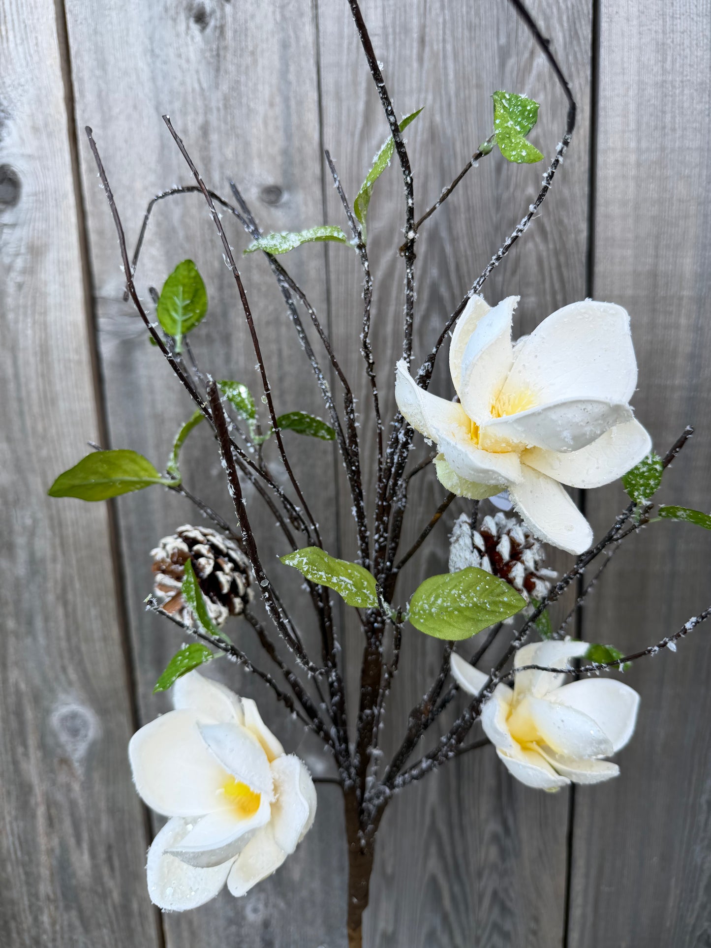 Magnolia Cne Spray 42165