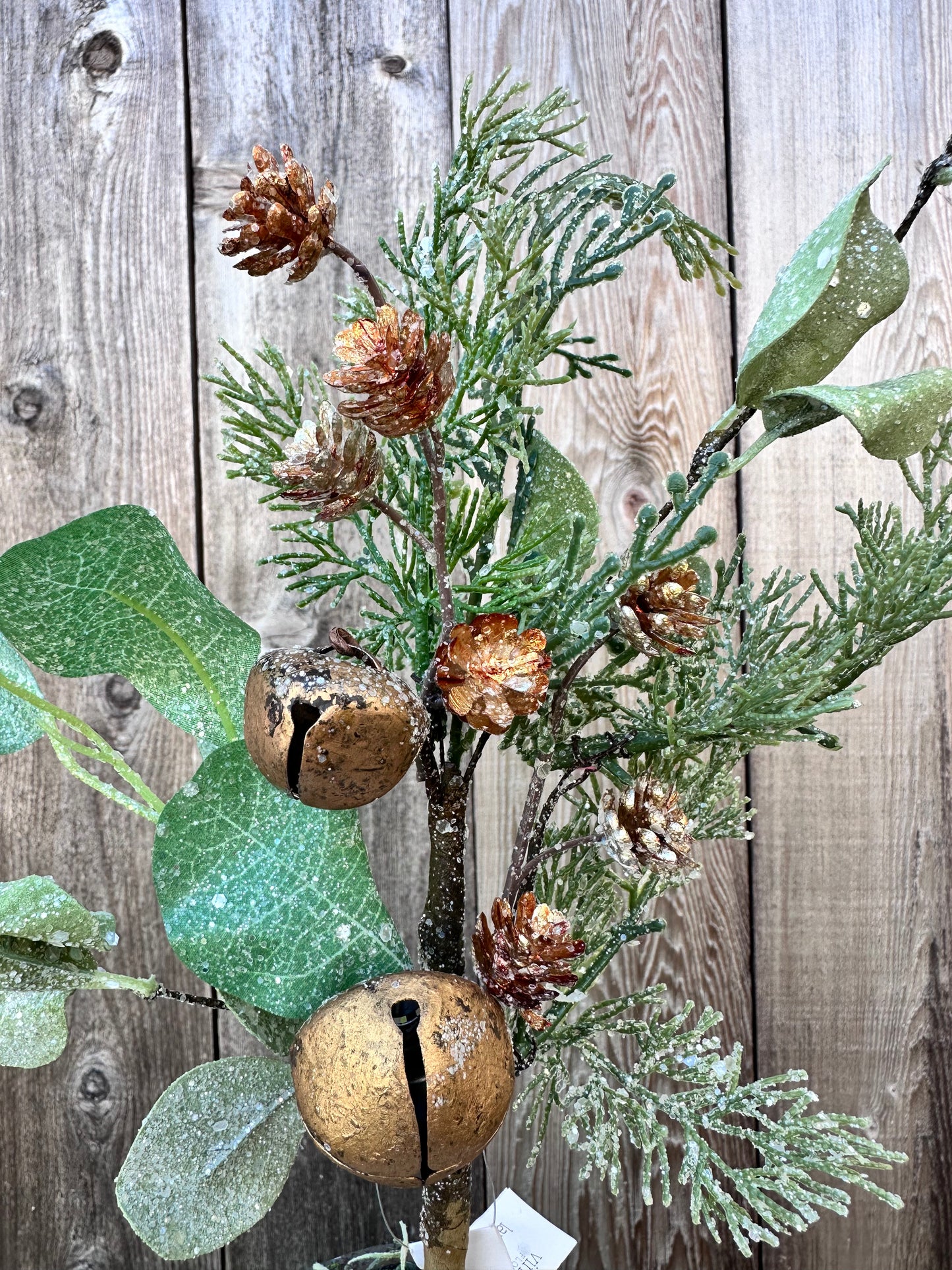 GOLD SONG EUCALYPTUS PICK XM91308