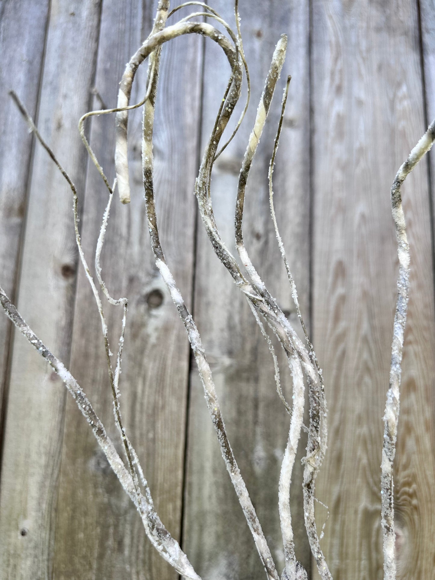 Birch Branch 85719NAT