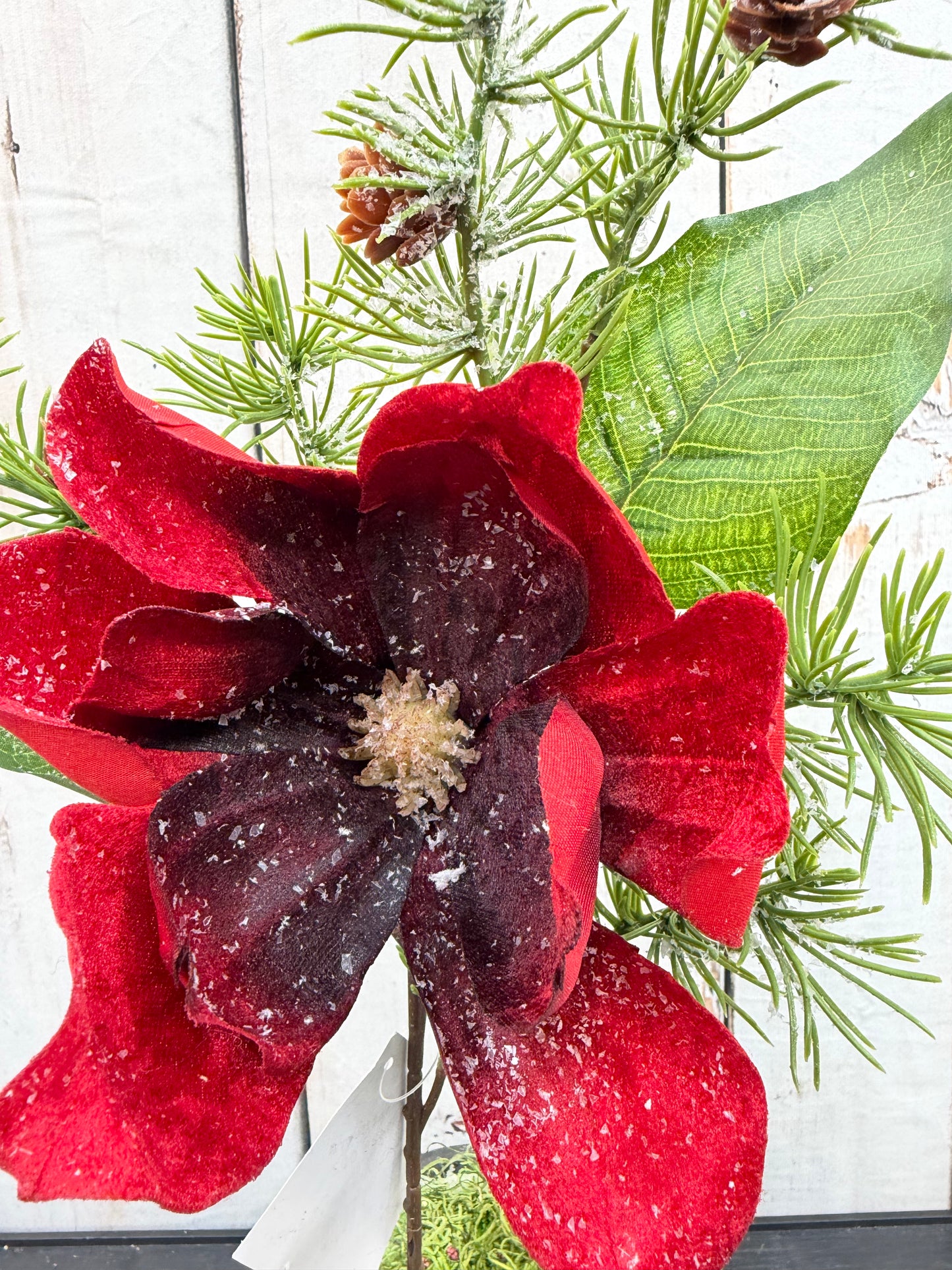 Magnolia Spray W/PVC RED XP61438-002