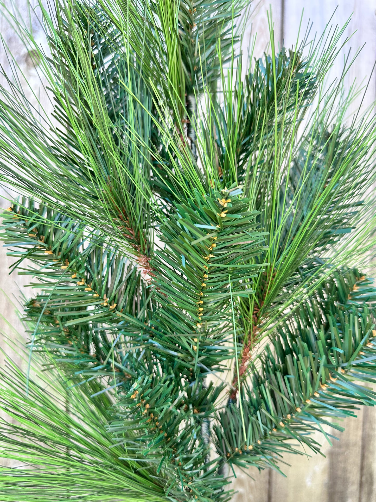 24in Long Needle Pine XS061025