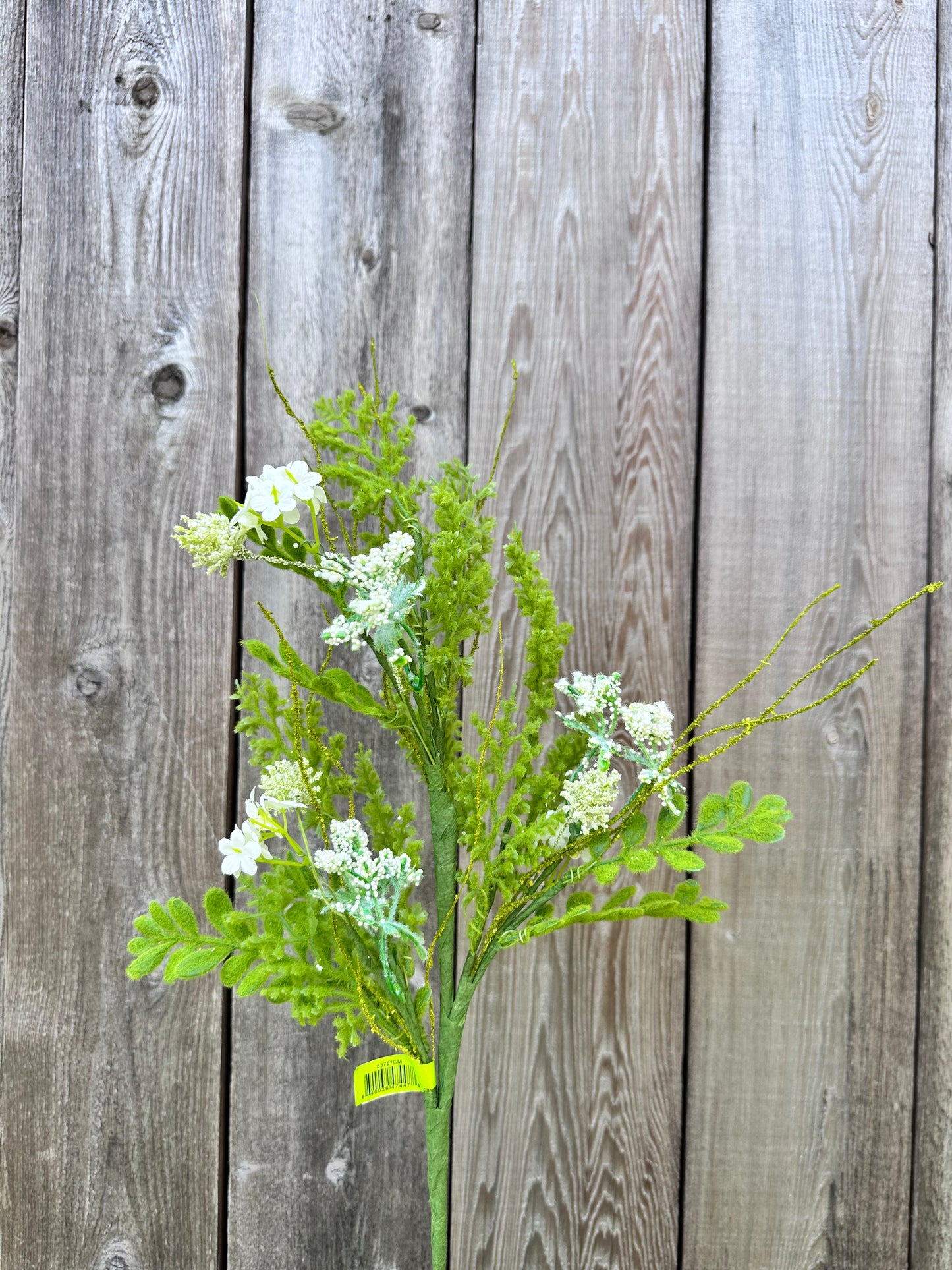 Sedum Filler Spray 63767CM