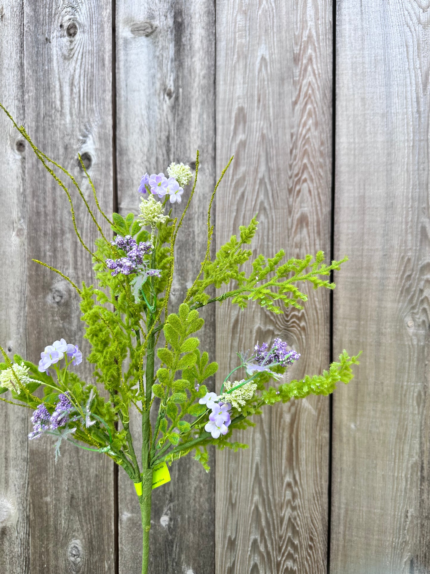 Sedum Filler Spray 63767LV
