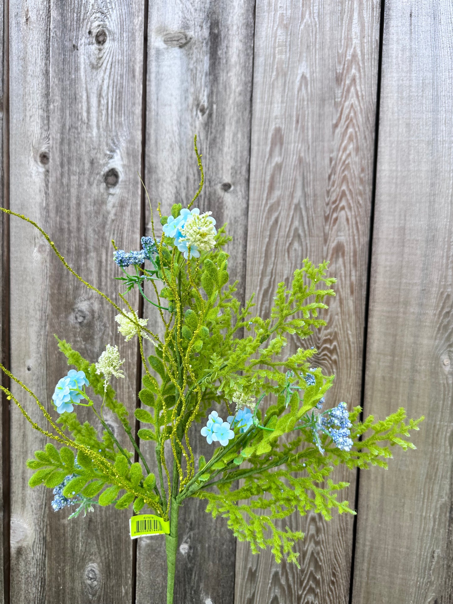 Sedum Filler Spray 63767BL