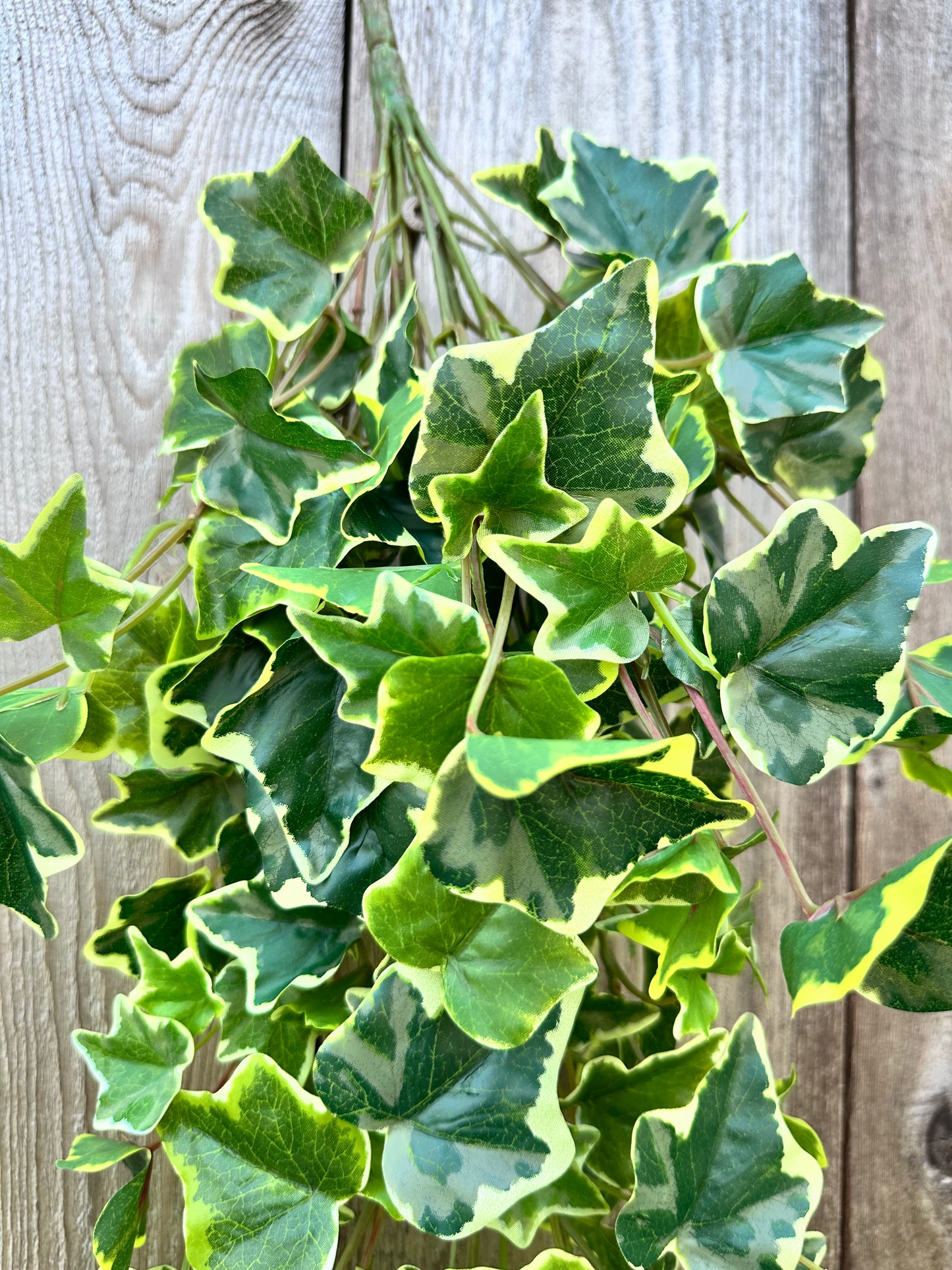 REAL TOUCH IVY 80241