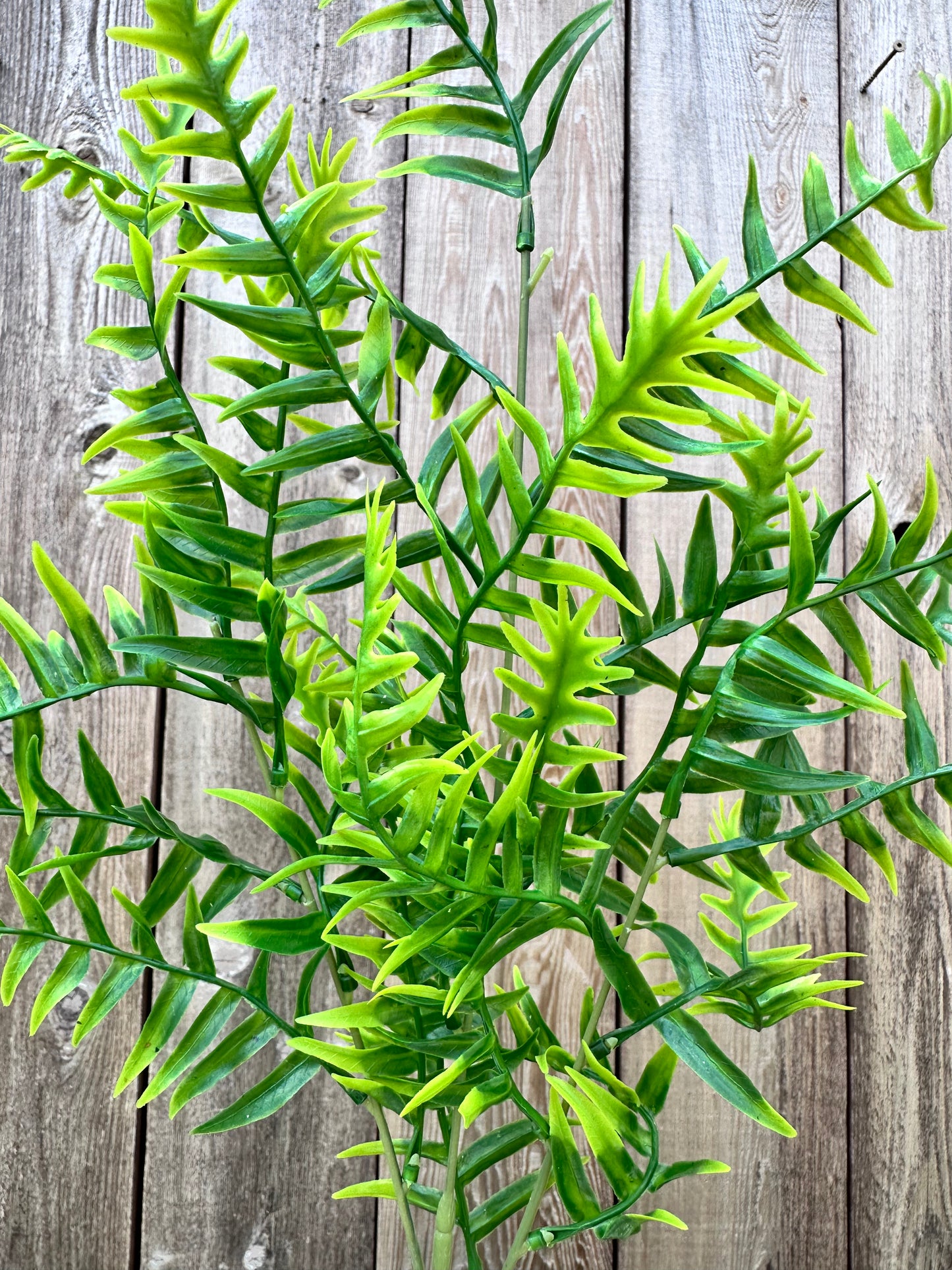 PLASTIC FERN SPRAY 83355-GN