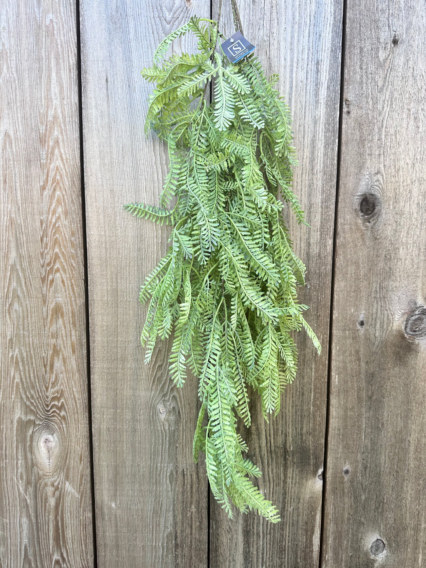 GREEN SPRAY 02564S
