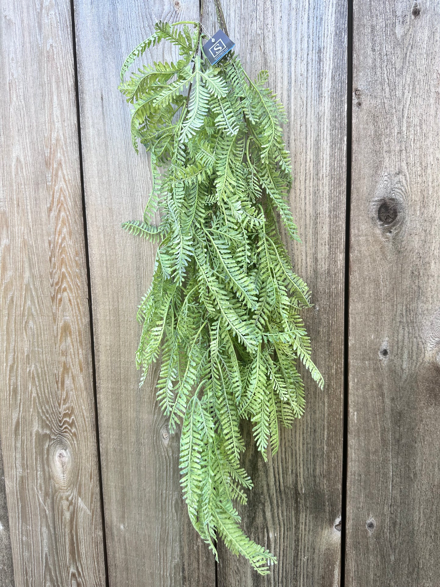 GREEN SPRAY 02564S