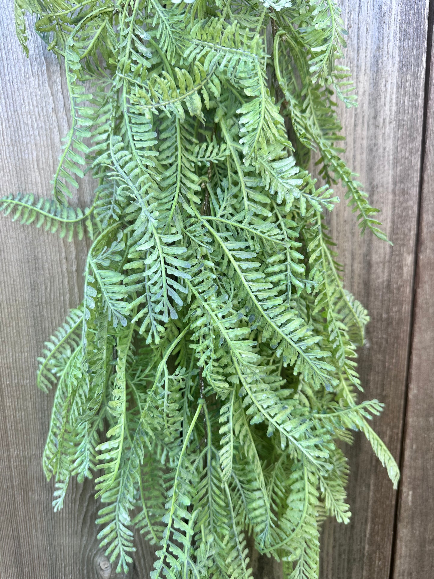 GREEN SPRAY 02564S