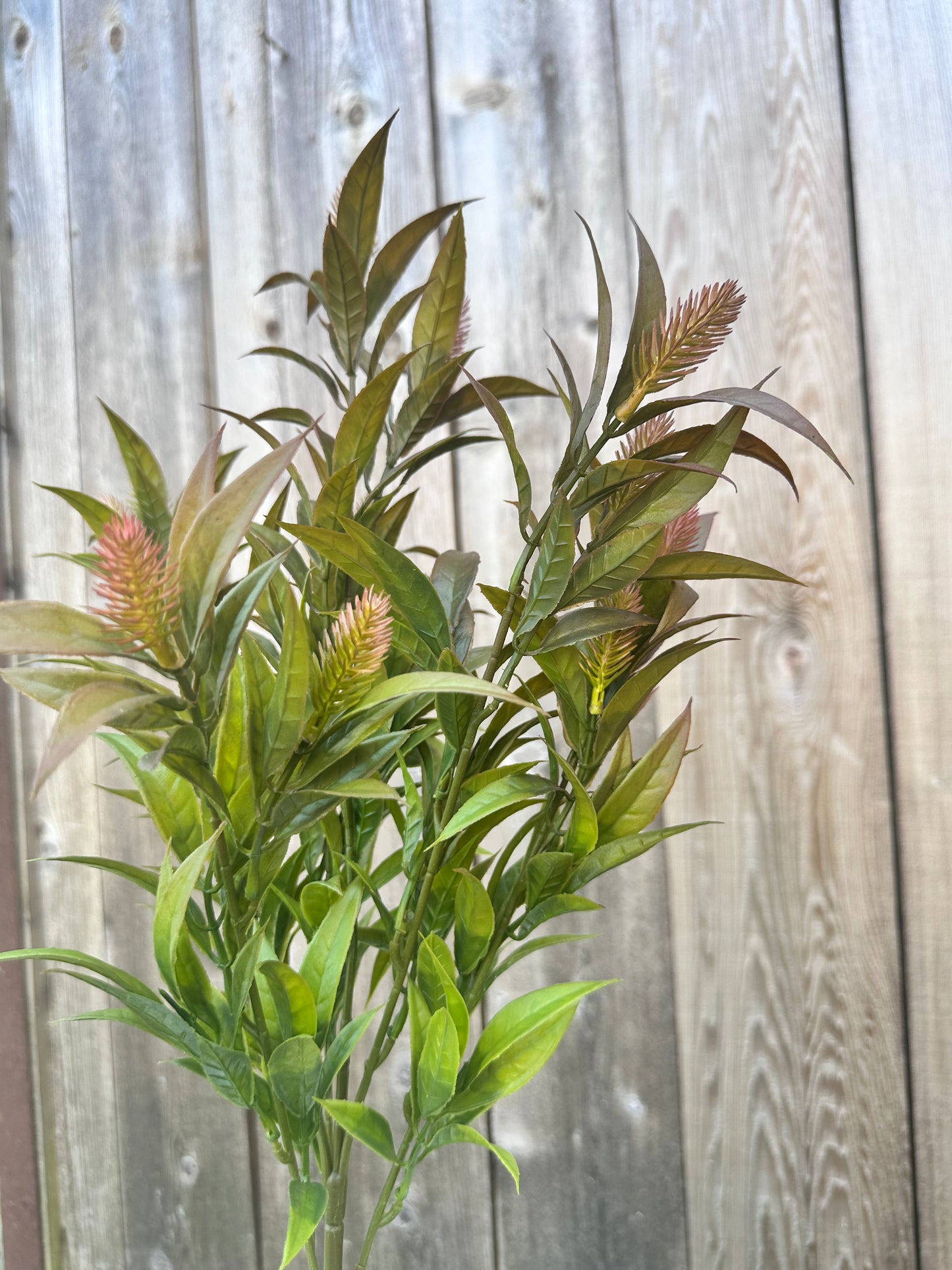 MINI SPIKE LEAF/FLOWER BUSH FG662230