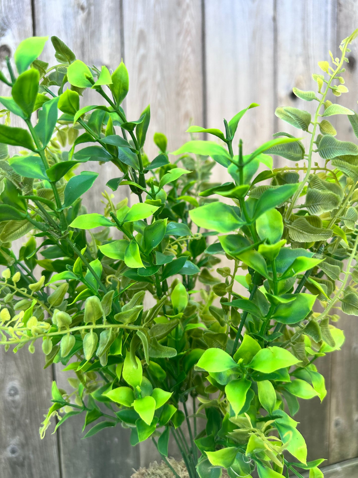 MIXED PLASTIC BUSH (Orange Jasmine) 84648