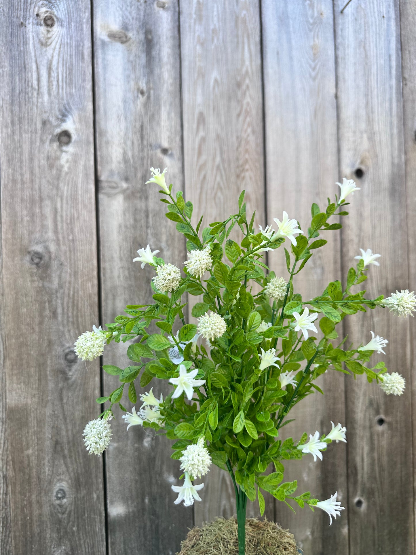 THISTLE BUSH 84999-CR