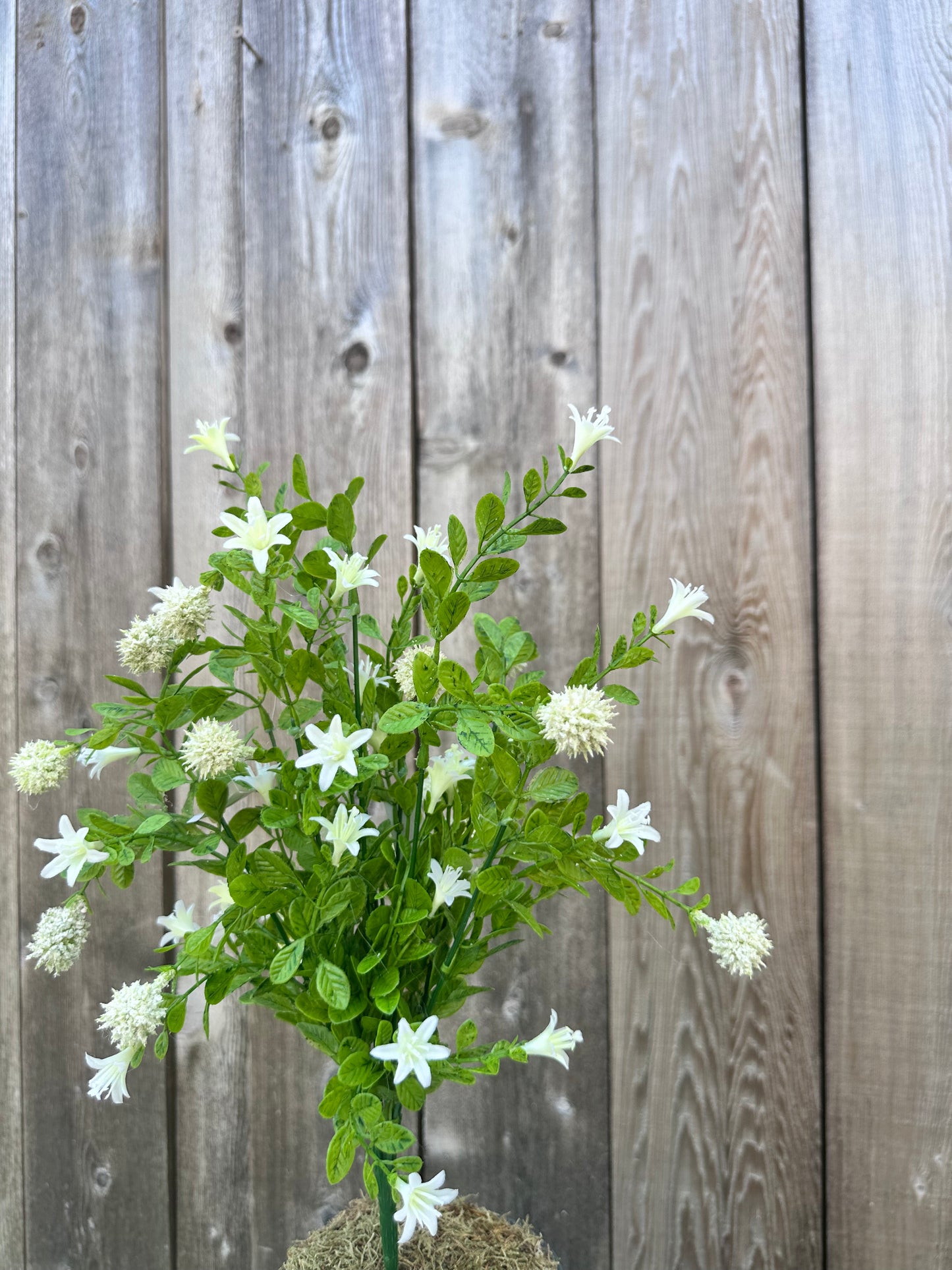 THISTLE BUSH 84999-CR