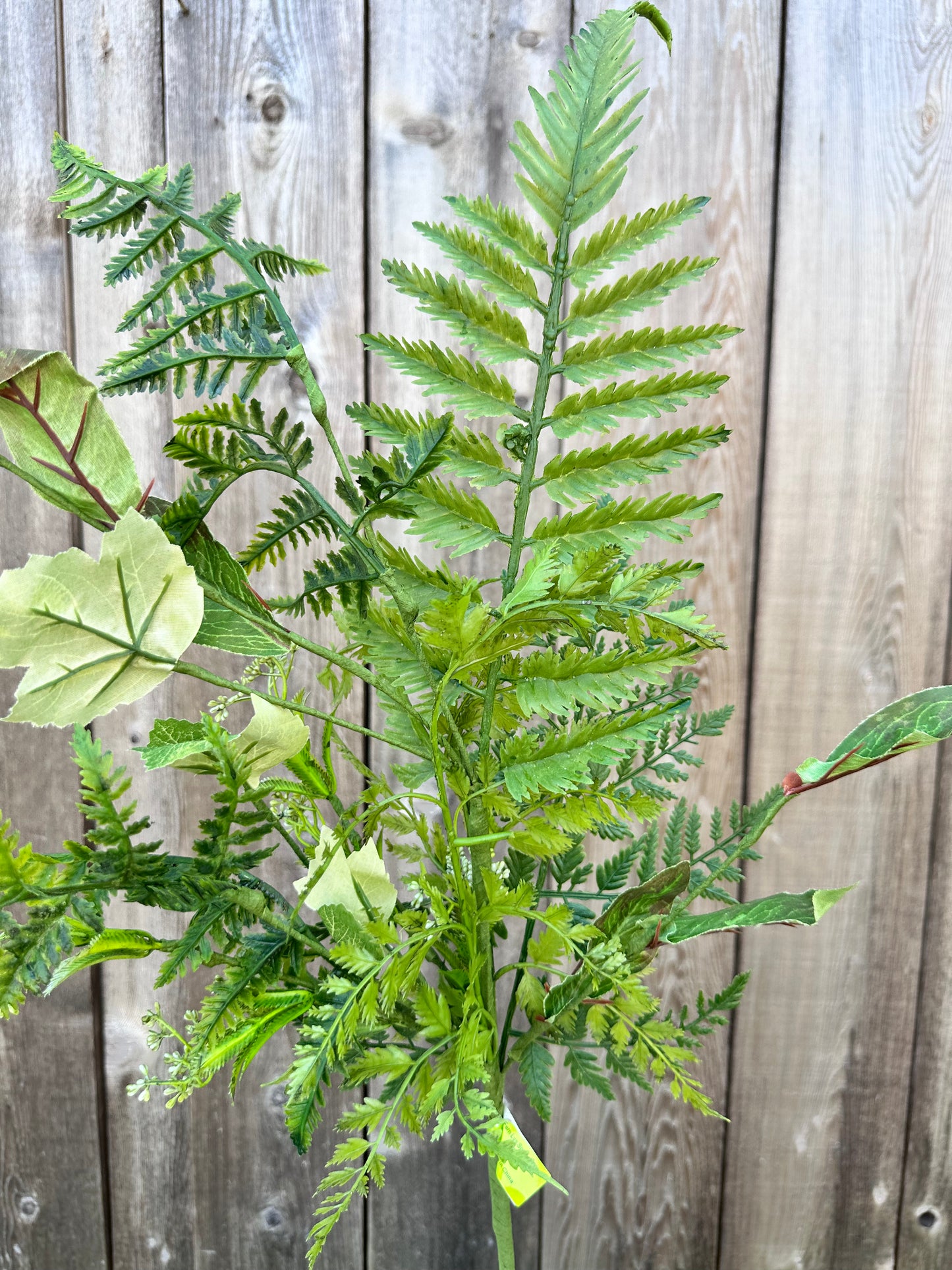 Fern Lvs Spray 63345SP30