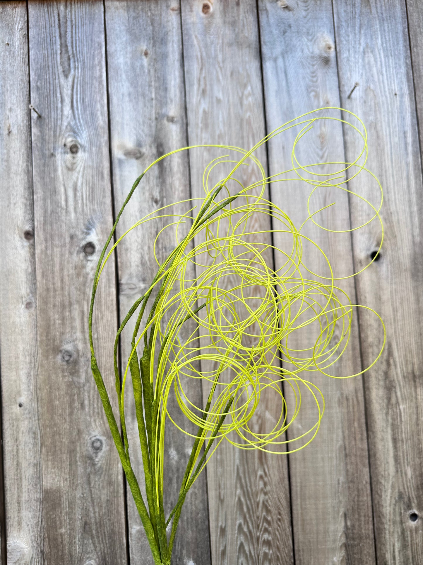 TWIG 53952-GN