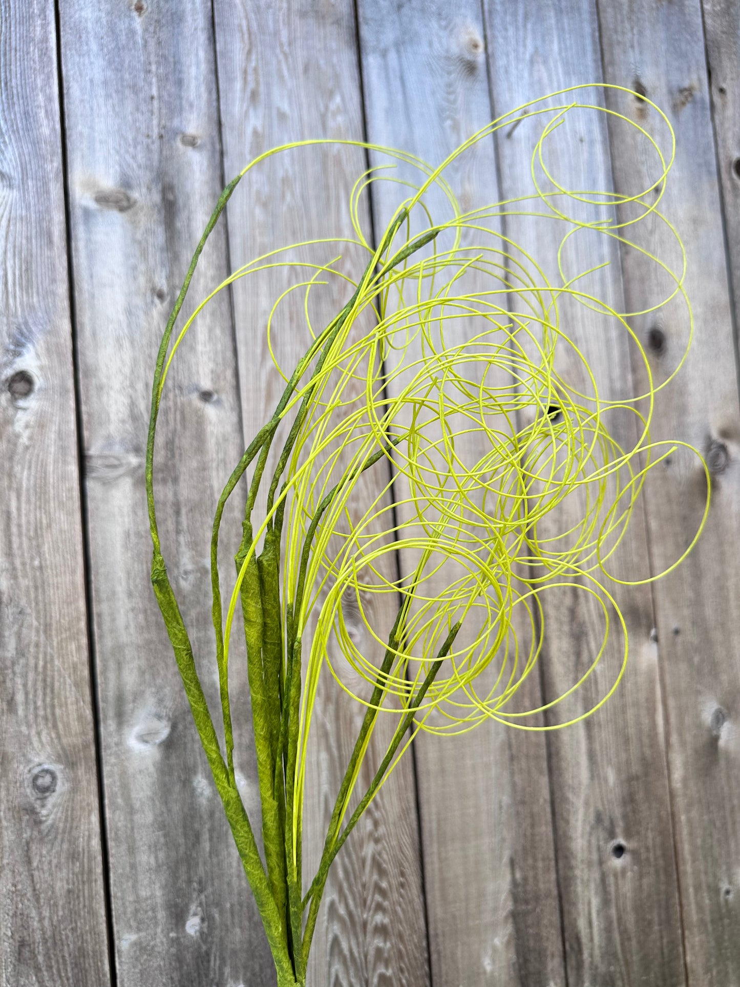 TWIG 53952-GN