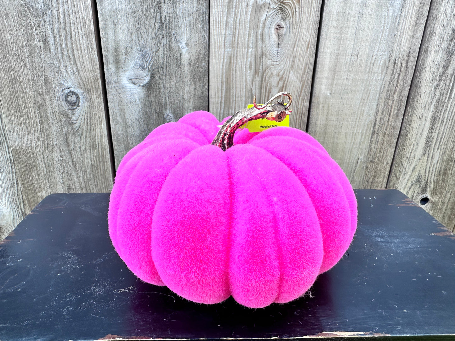 Flocked Pumpkin 56954 HotPink