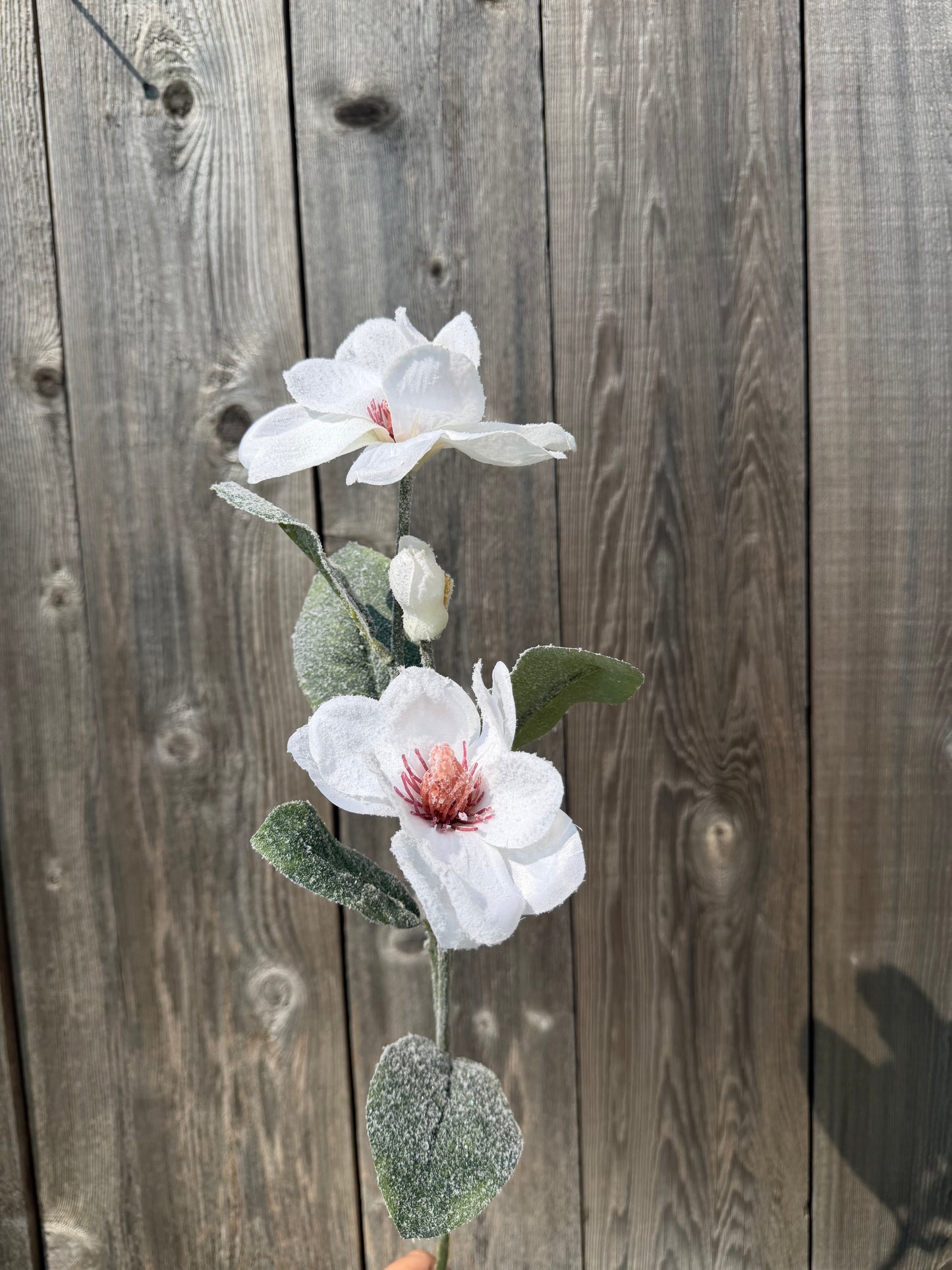 Magnolia Spray 86953SNOW
