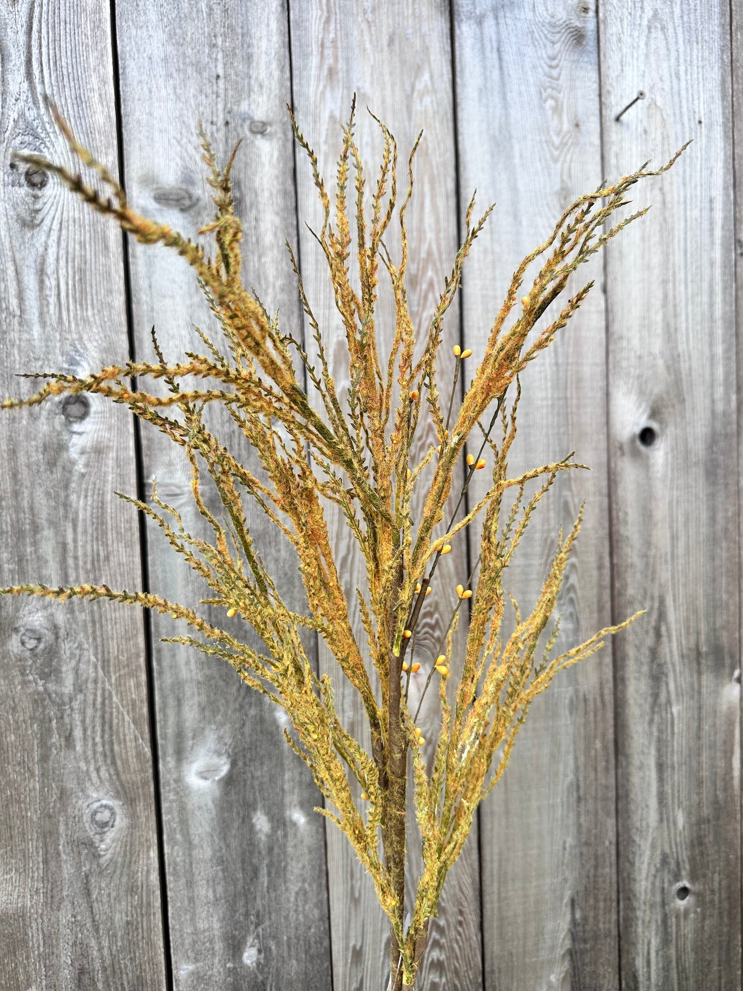 PAMPAS BLOOM GRASS SPRAY MTH12775