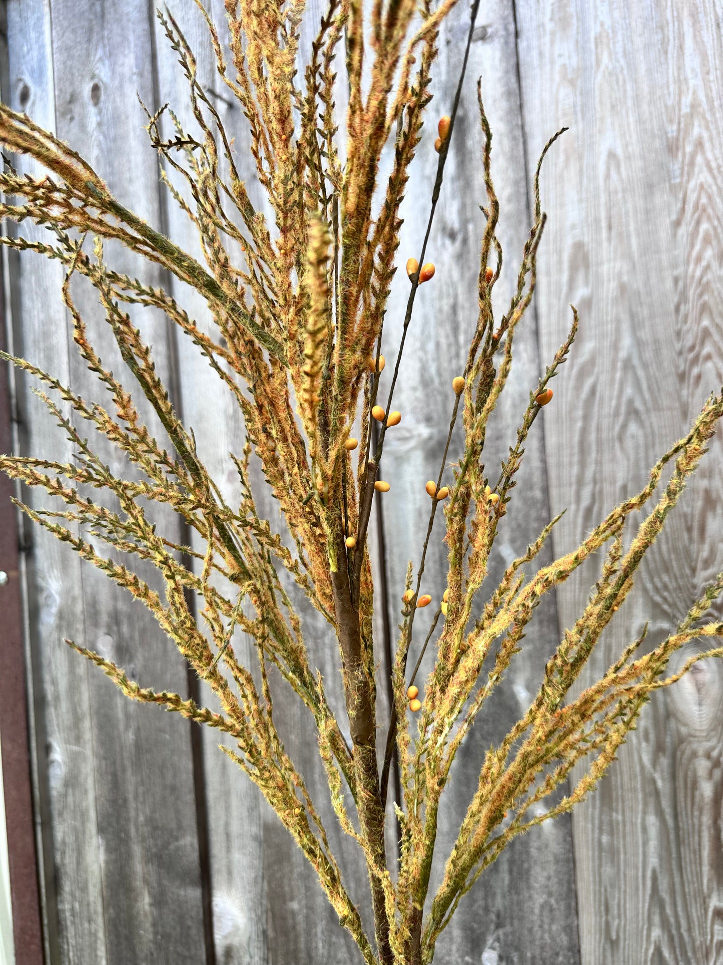 PAMPAS BLOOM GRASS SPRAY MTH12775