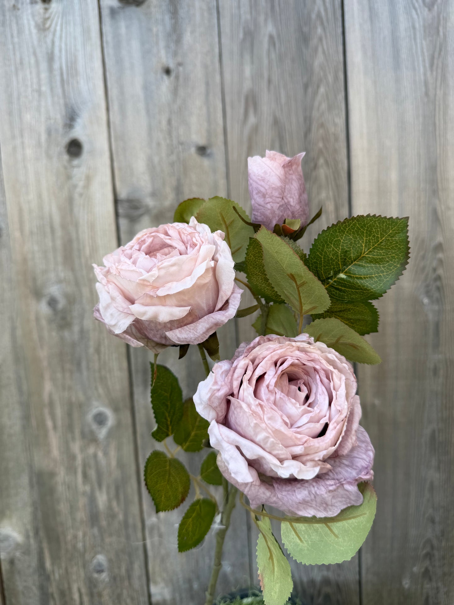 26 IN ROSE SPRAY X 3 40492-TAUPE