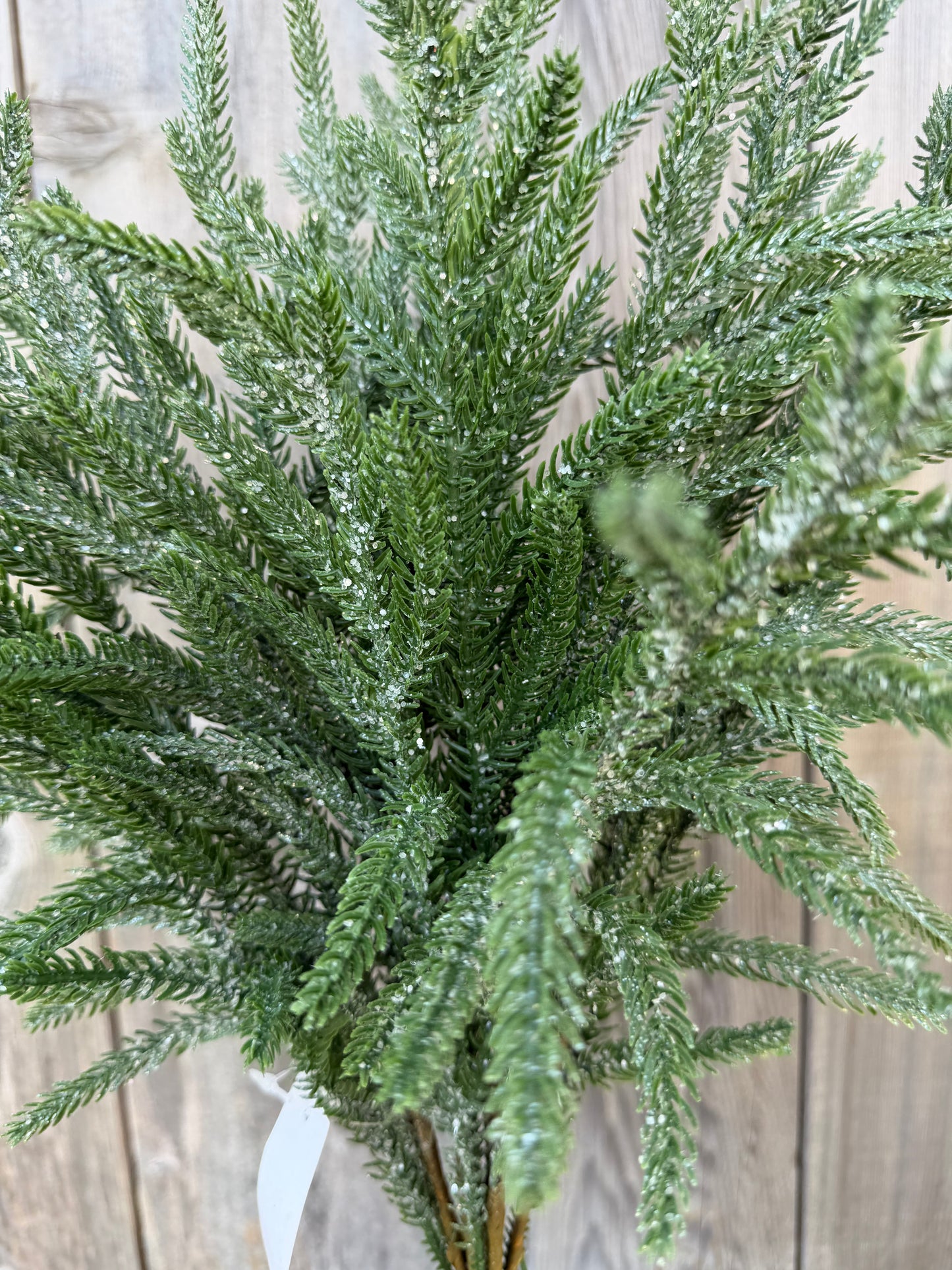 22 IN FROSTED NORFOLK PINE 65888-DK.GN