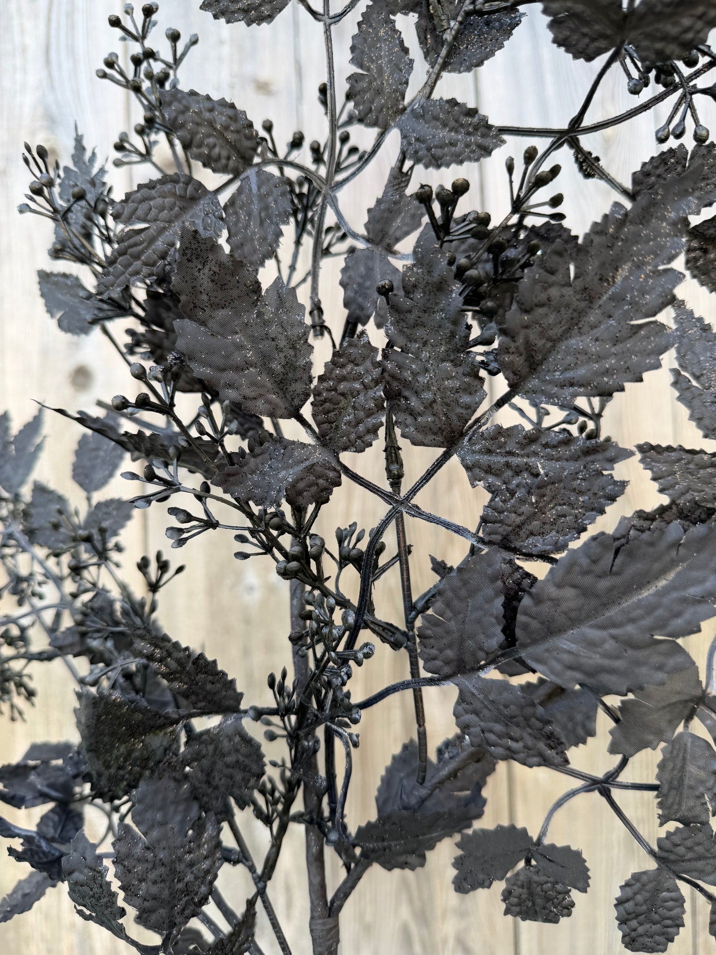34 IN BLACK COHOSH LEAF 40518