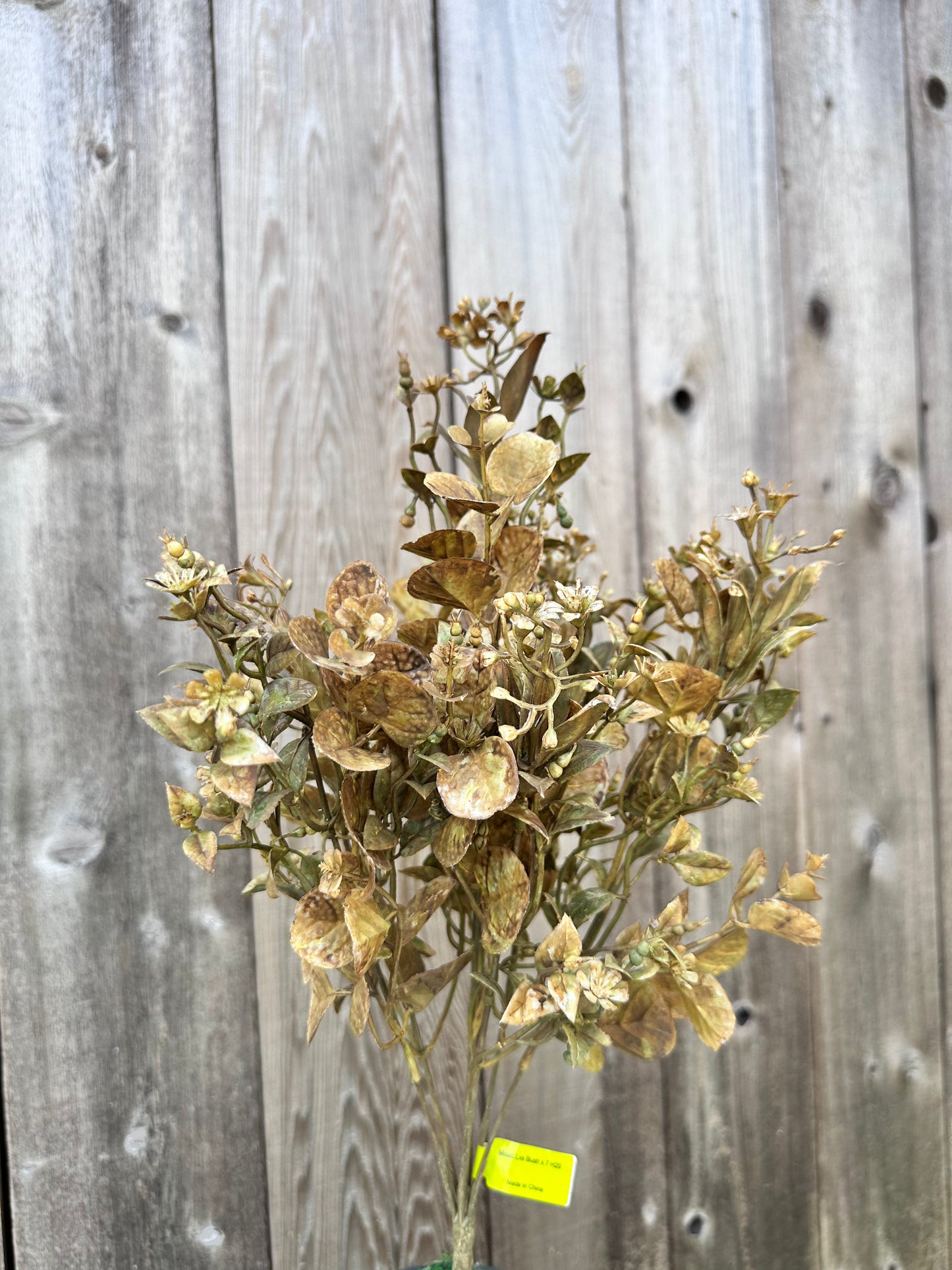 Mixed Lvs Bush 57099BE