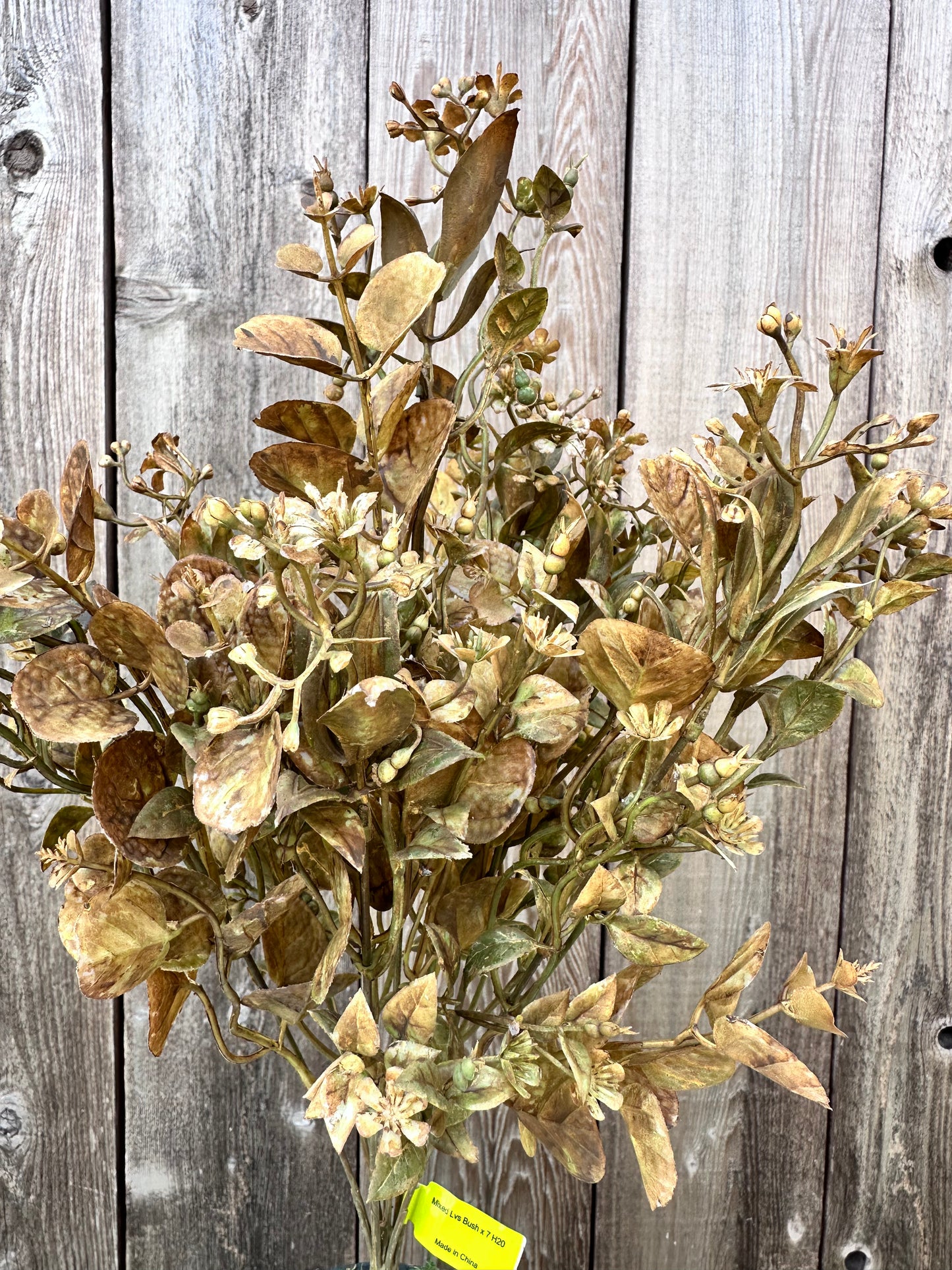 Mixed Lvs Bush 57099BE