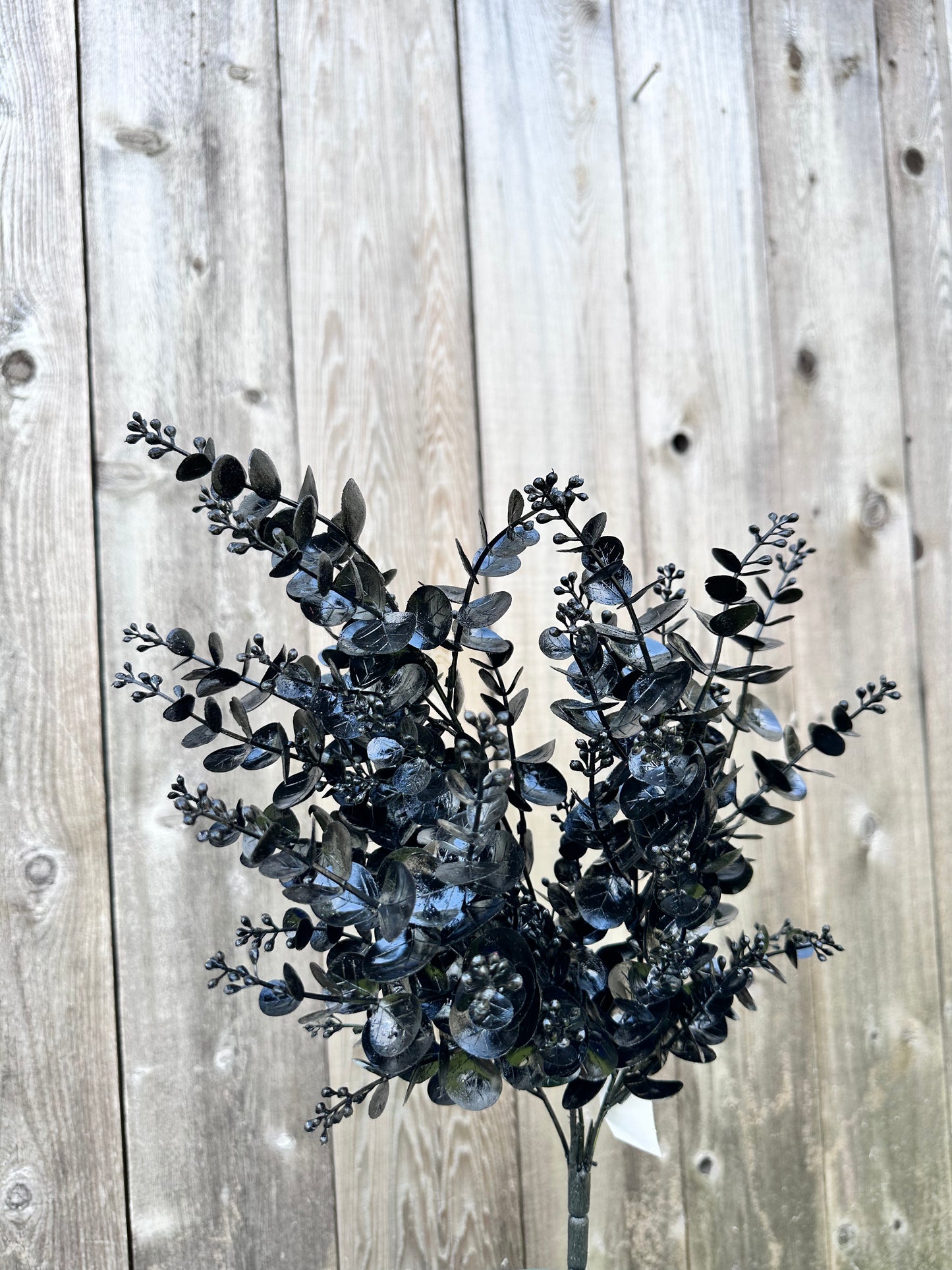 EUCALYPTUS W GLITTER 84340-BK