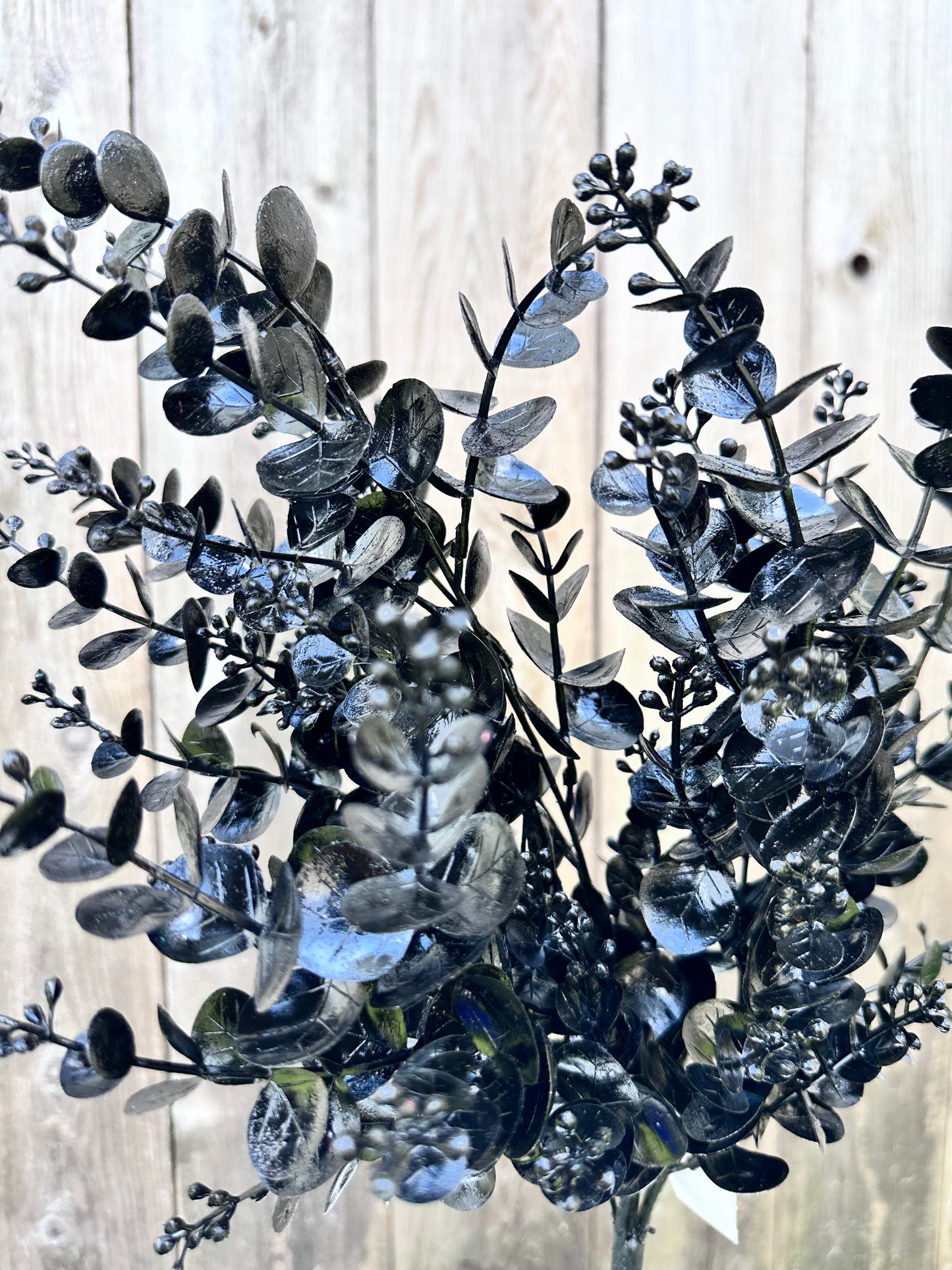 EUCALYPTUS W GLITTER 84340-BK