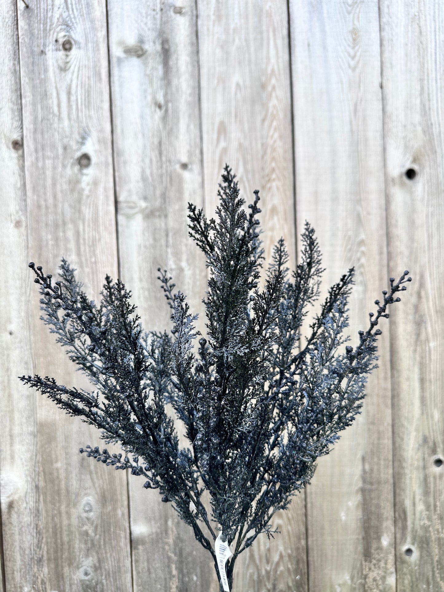 CYPRESS W GLITTER BUSH 84344-BK