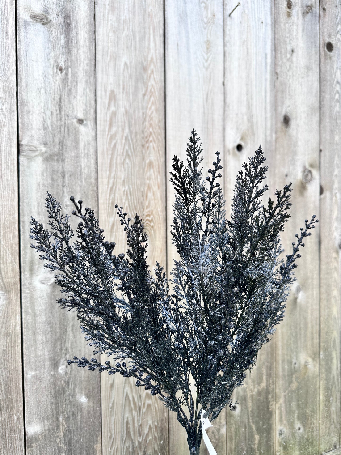 CYPRESS W GLITTER BUSH 84344-BK