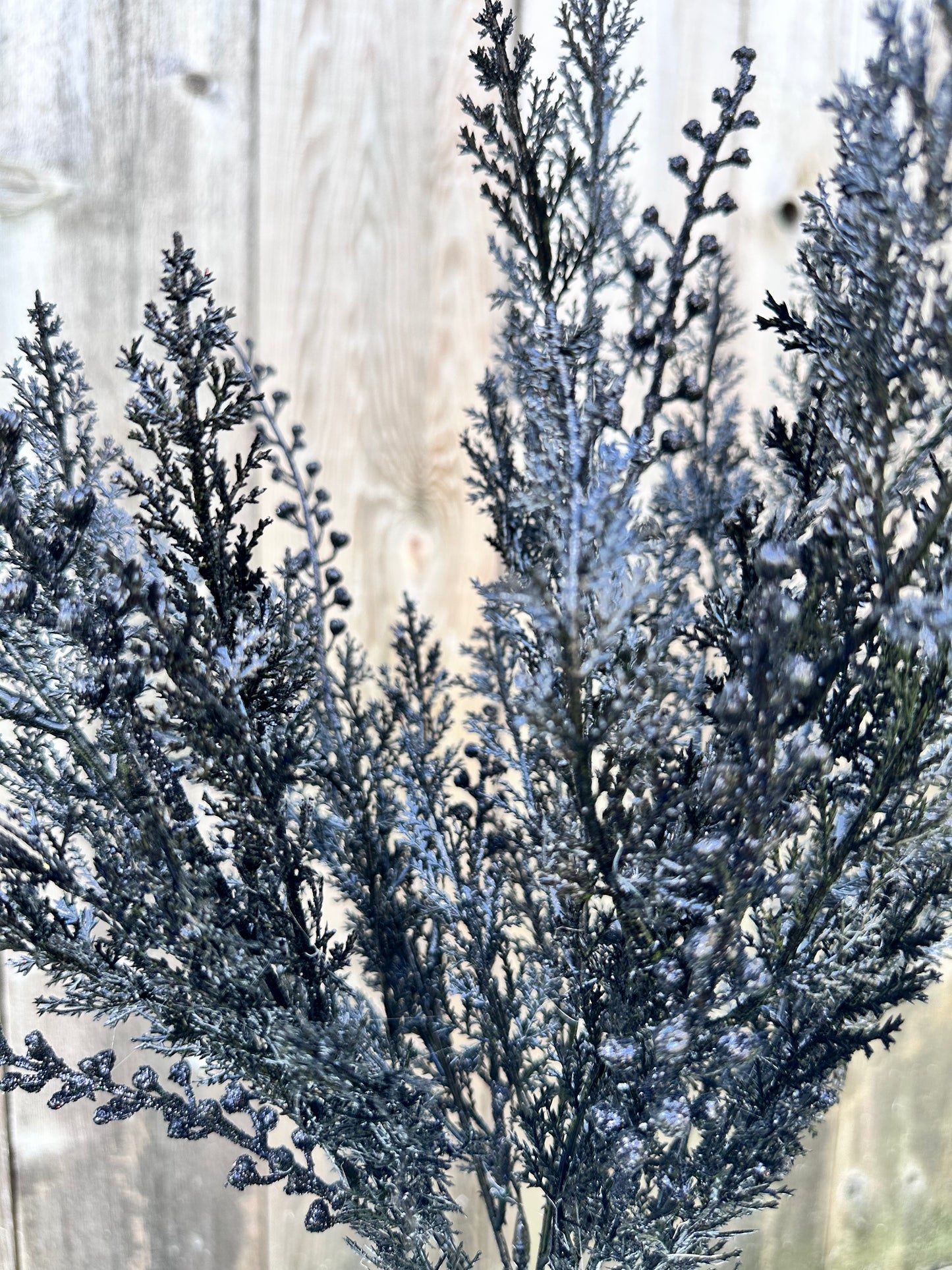 CYPRESS W GLITTER BUSH 84344-BK