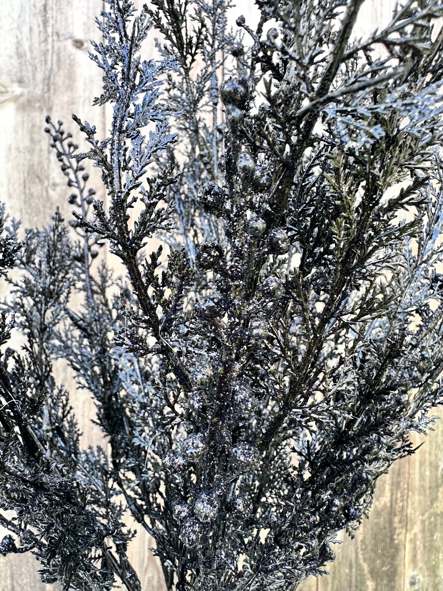CYPRESS W GLITTER BUSH 84344-BK