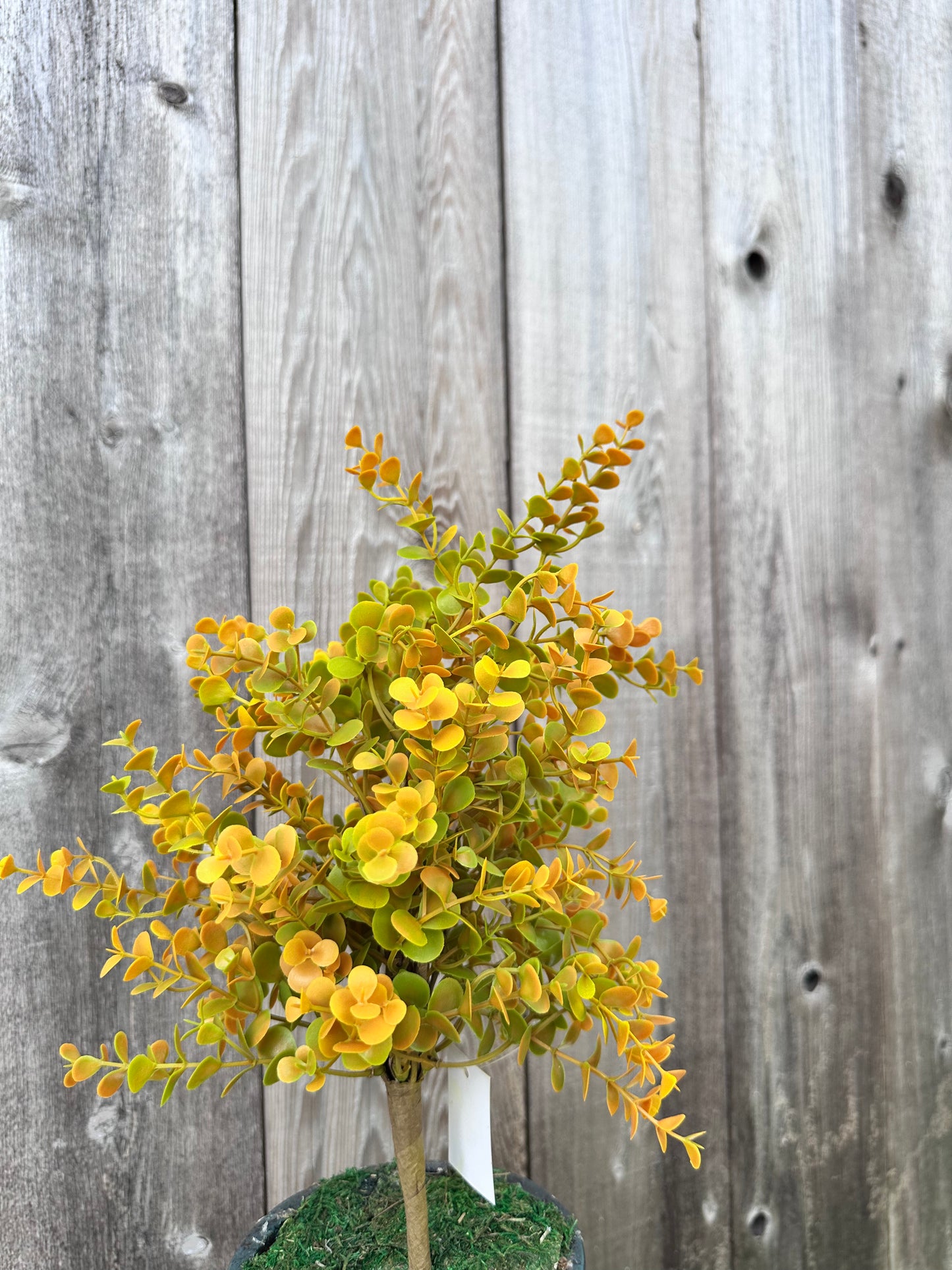PLASTIC EUCALYPTUS BUSH 65369