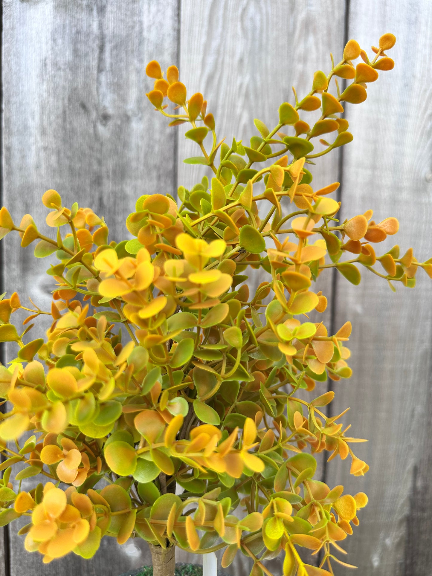 PLASTIC EUCALYPTUS BUSH 65369
