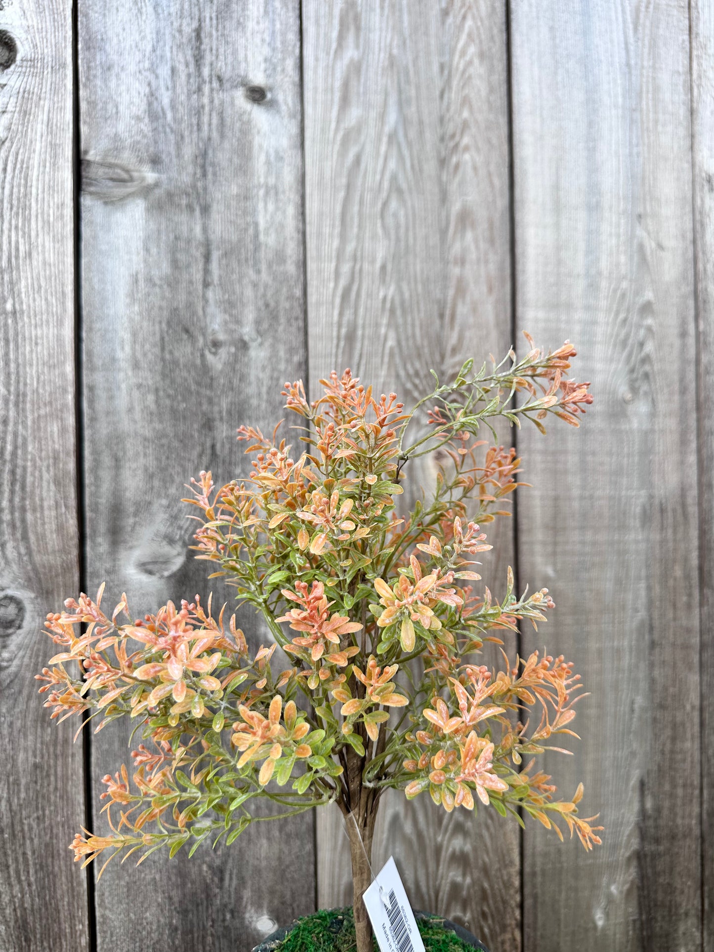 PLASTIC FILLER BUSH 65362-OR